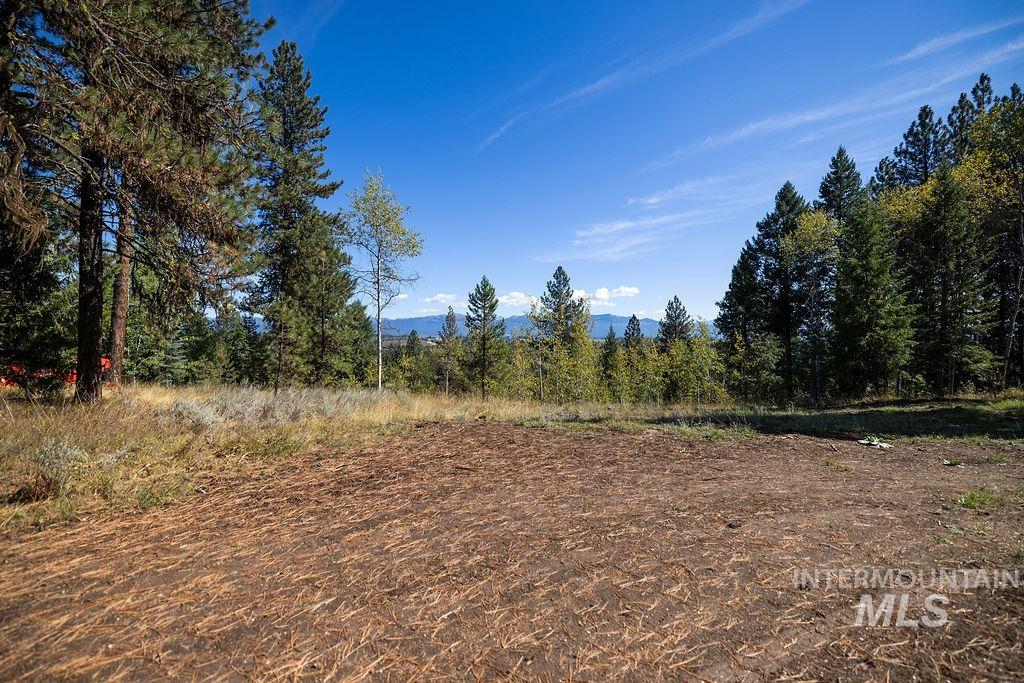 352 Blackhawk Lake Dr, McCall, Idaho 83638, Land For Sale, Price $496,000, 98924523