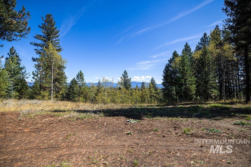352 Blackhawk Lake Dr, McCall, Idaho 83638, Land For Sale, Price $496,000, 98924523