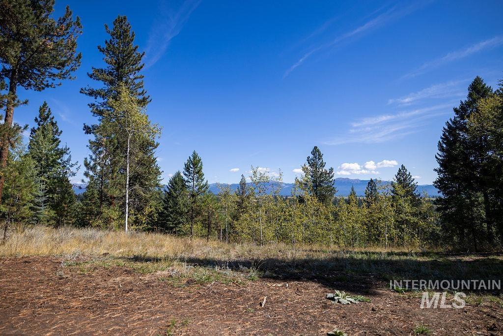 352 Blackhawk Lake Dr, McCall, Idaho 83638, Land For Sale, Price $496,000, 98924523