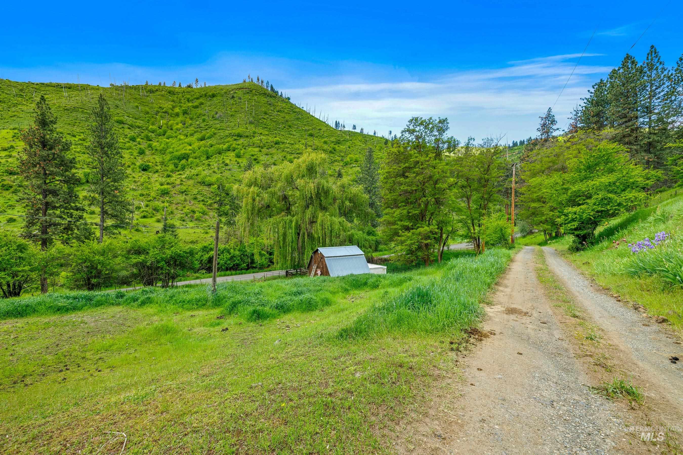 1266 Deer Creek Road, White Bird, Idaho 83554, Land For Sale, Price $389,000,MLS 98924540