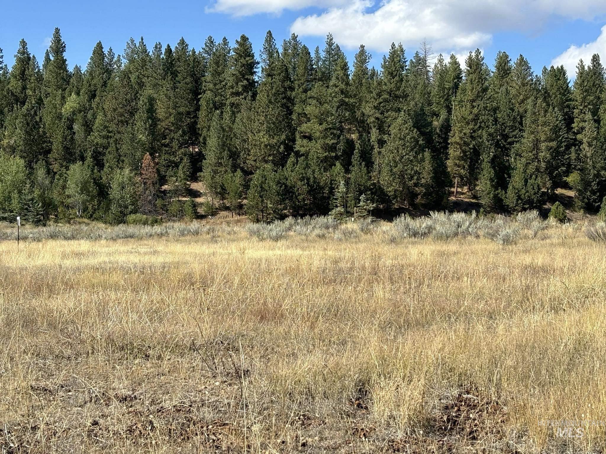 13 Fawnlilly, McCall, Idaho 83638, Land For Sale, Price $158,000,MLS 98924609