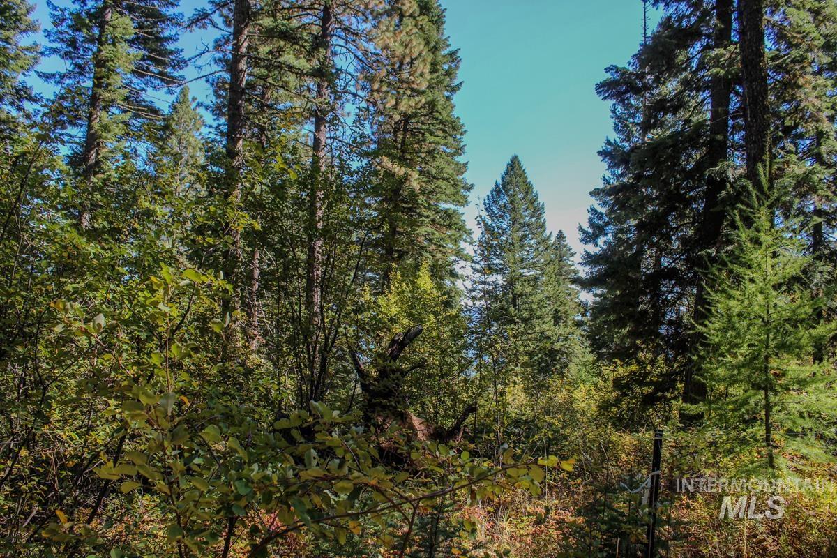 1204 Porcupine Road, Cascade, Idaho 83611, Land For Sale, Price $124,000, 98924700