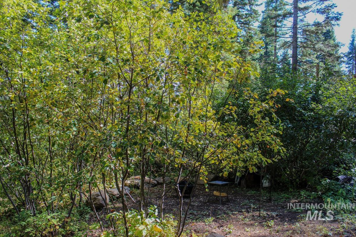 1204 Porcupine Road, Cascade, Idaho 83611, Land For Sale, Price $124,000, 98924700