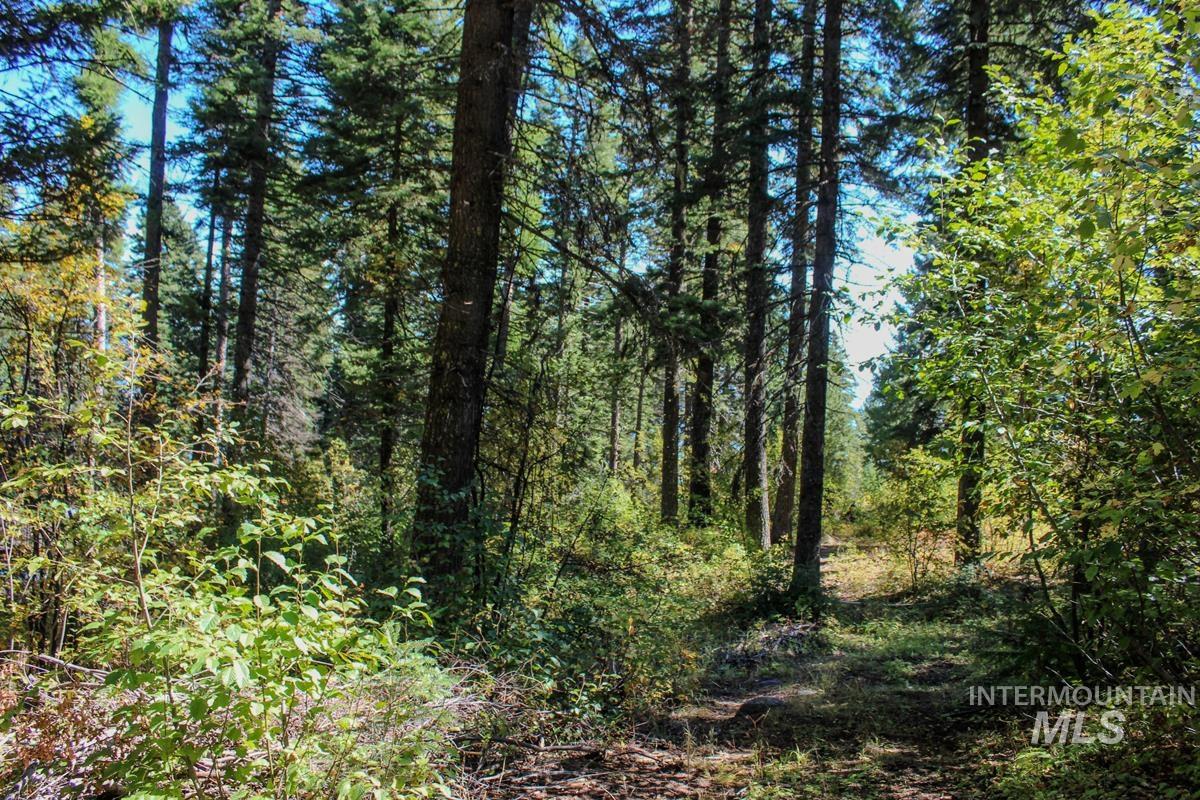 1204 Porcupine Road, Cascade, Idaho 83611, Land For Sale, Price $124,000, 98924700