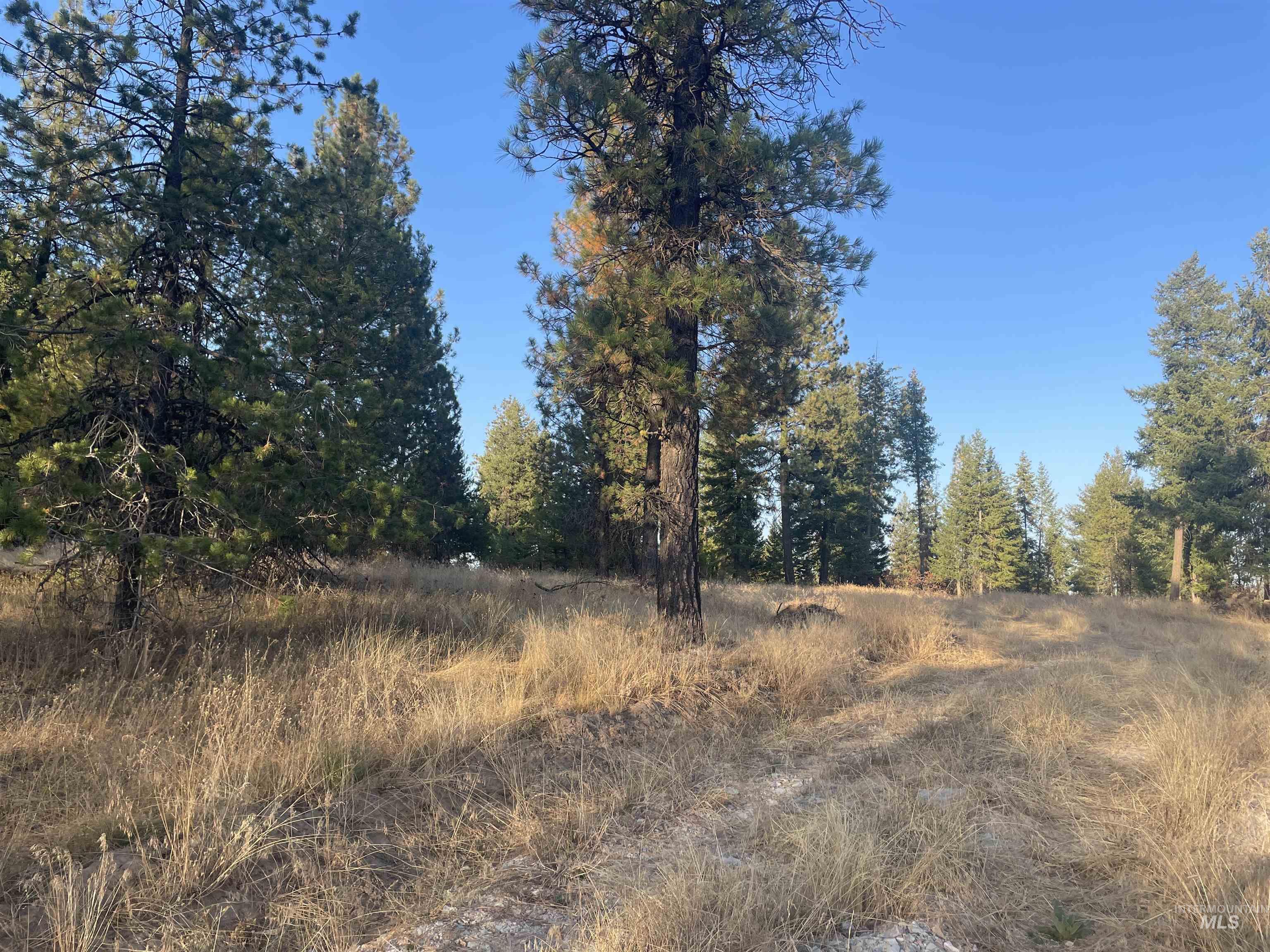 TBD Hatter Creek, Princeton, Idaho 83857, Land For Sale, Price $219,000,MLS 98924714