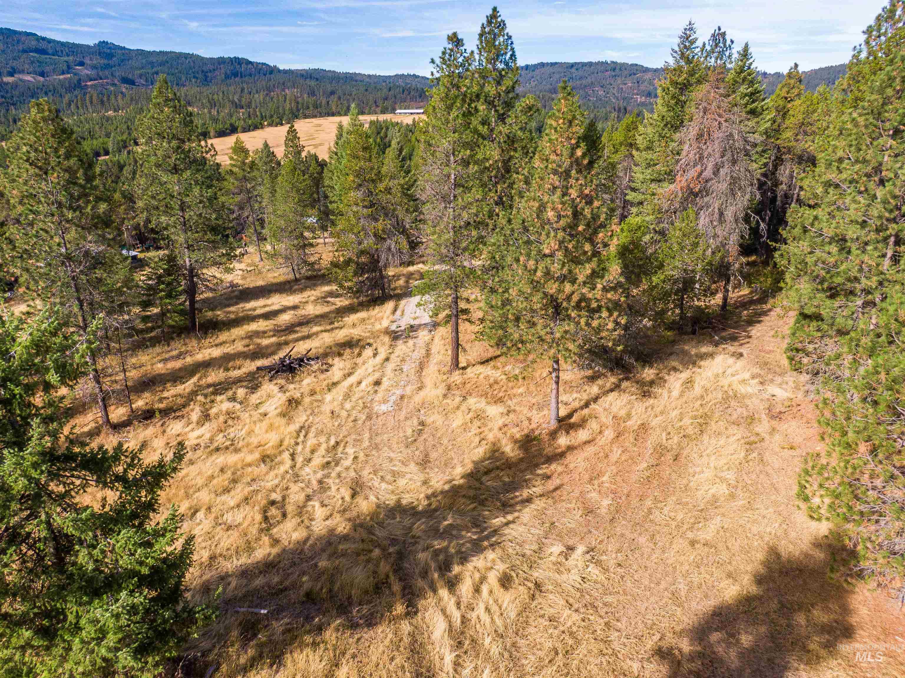 TBD Hatter Creek, Princeton, Idaho 83857, Land For Sale, Price $219,000,MLS 98924714