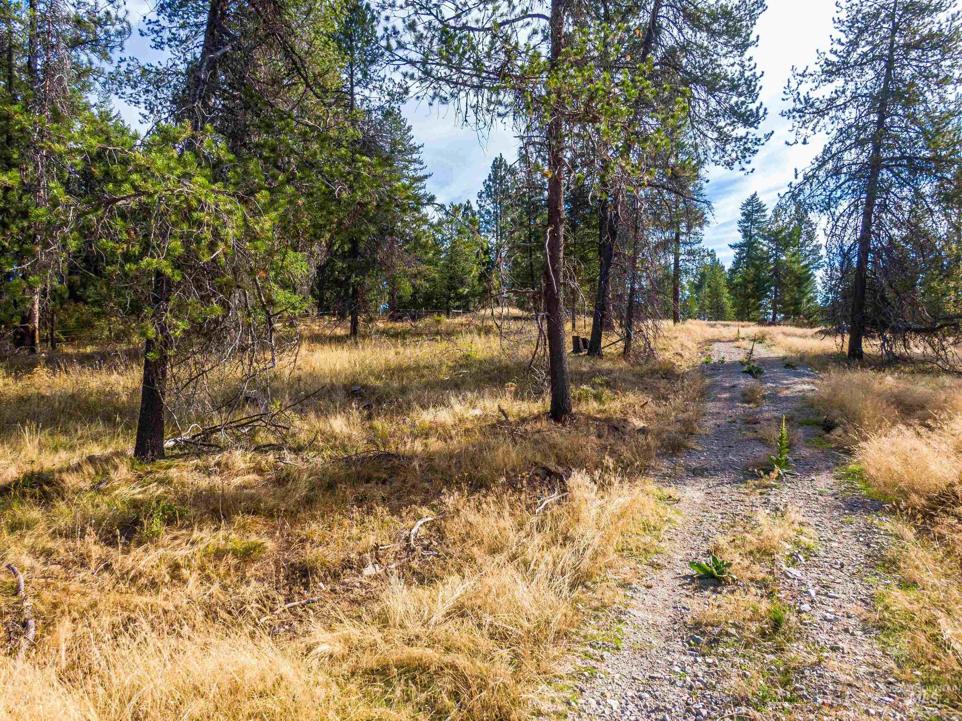 TBD Hatter Creek, Princeton, Idaho 83857, Land For Sale, Price $219,000,MLS 98924714