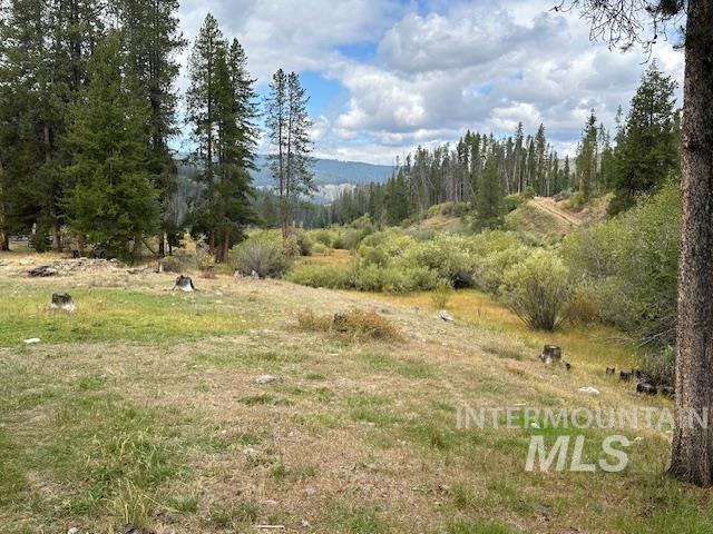 341 Phelan Creek Rd, Salmon, Idaho 83226, Farm & Ranch For Sale, Price $3,500,000, 98924719