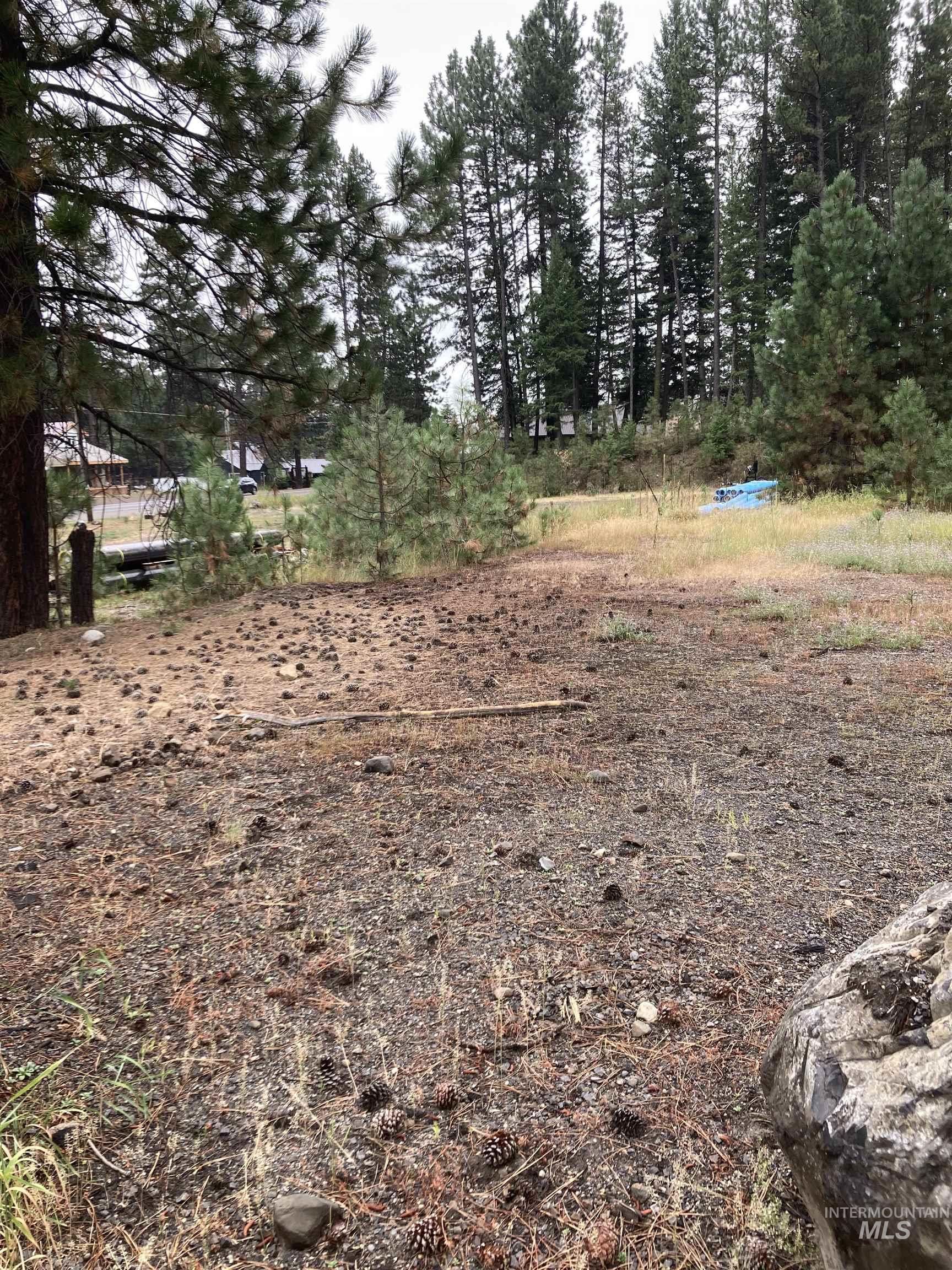 314 N 3rd Str, McCall, Idaho 83638, Land For Sale, Price $1,495,000, 98924741