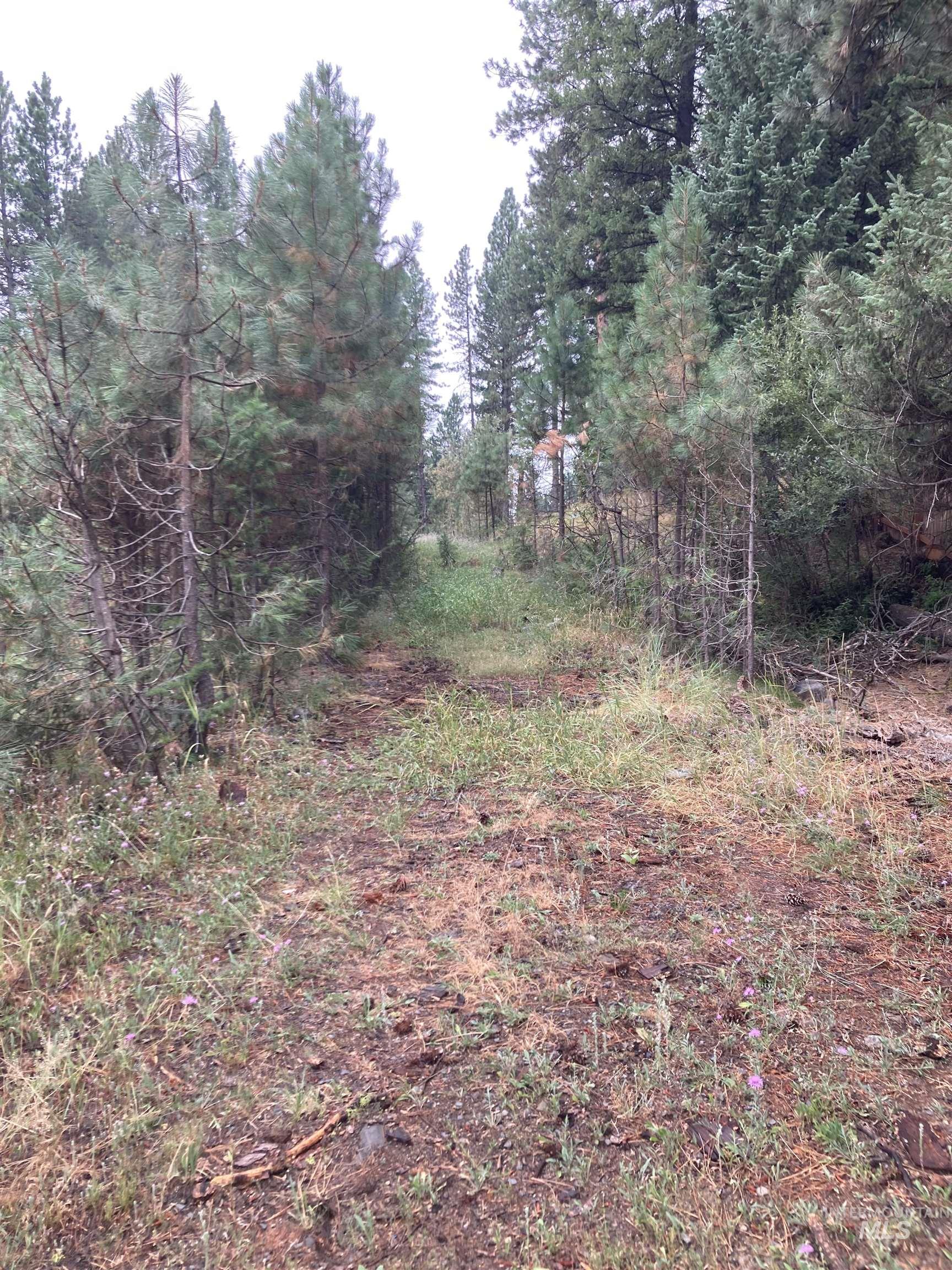 314 N 3rd Str, McCall, Idaho 83638, Land For Sale, Price $1,495,000, 98924741