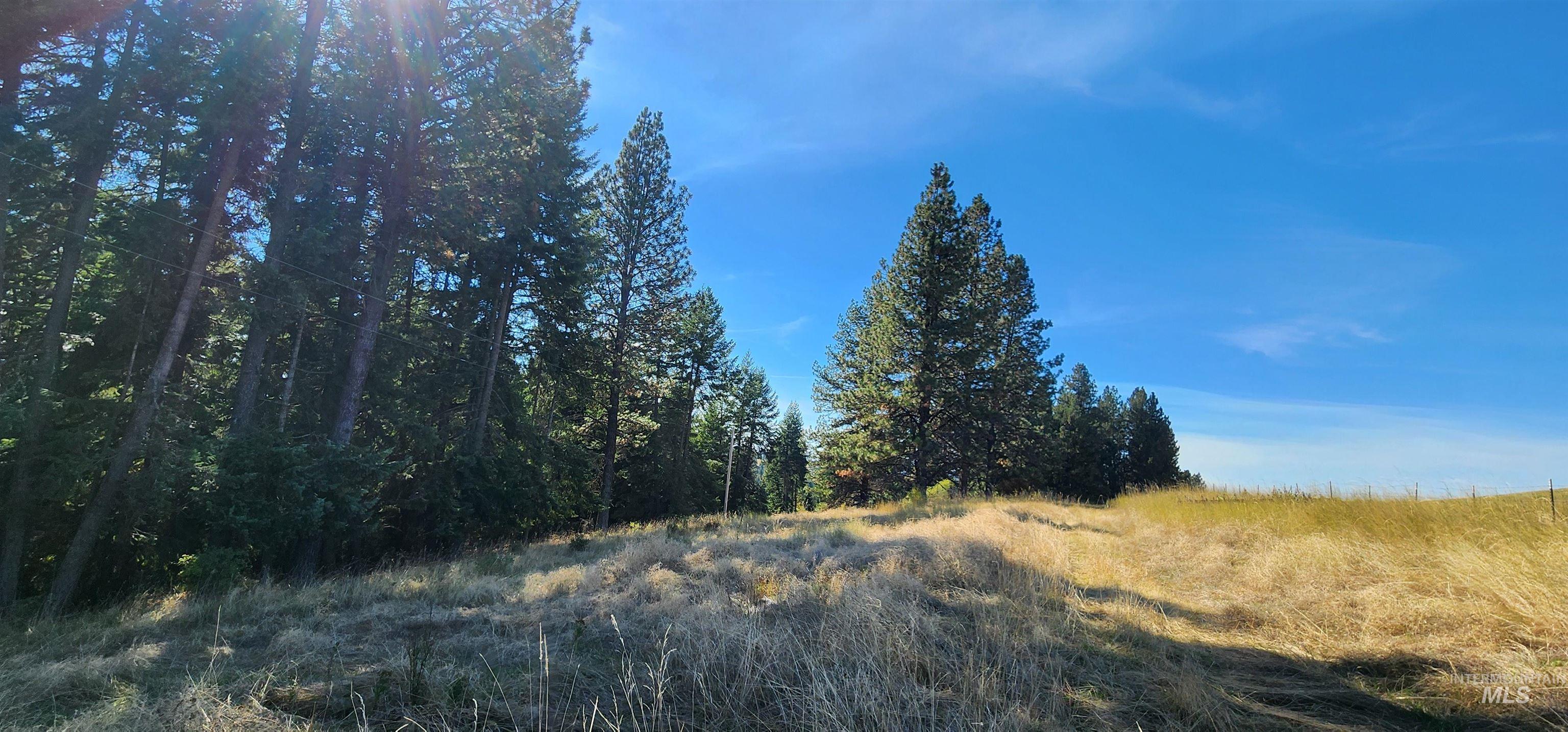 TBD Red Fir Rd, Kooskia, Idaho 83539, Land For Sale, Price $139,000, 98924747