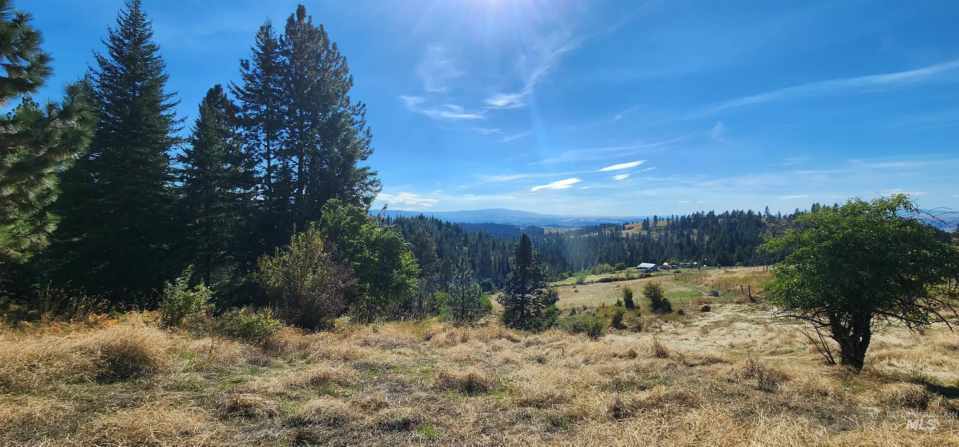 TBD Red Fir Rd, Kooskia, Idaho 83539, Land For Sale, Price $139,000, 98924747