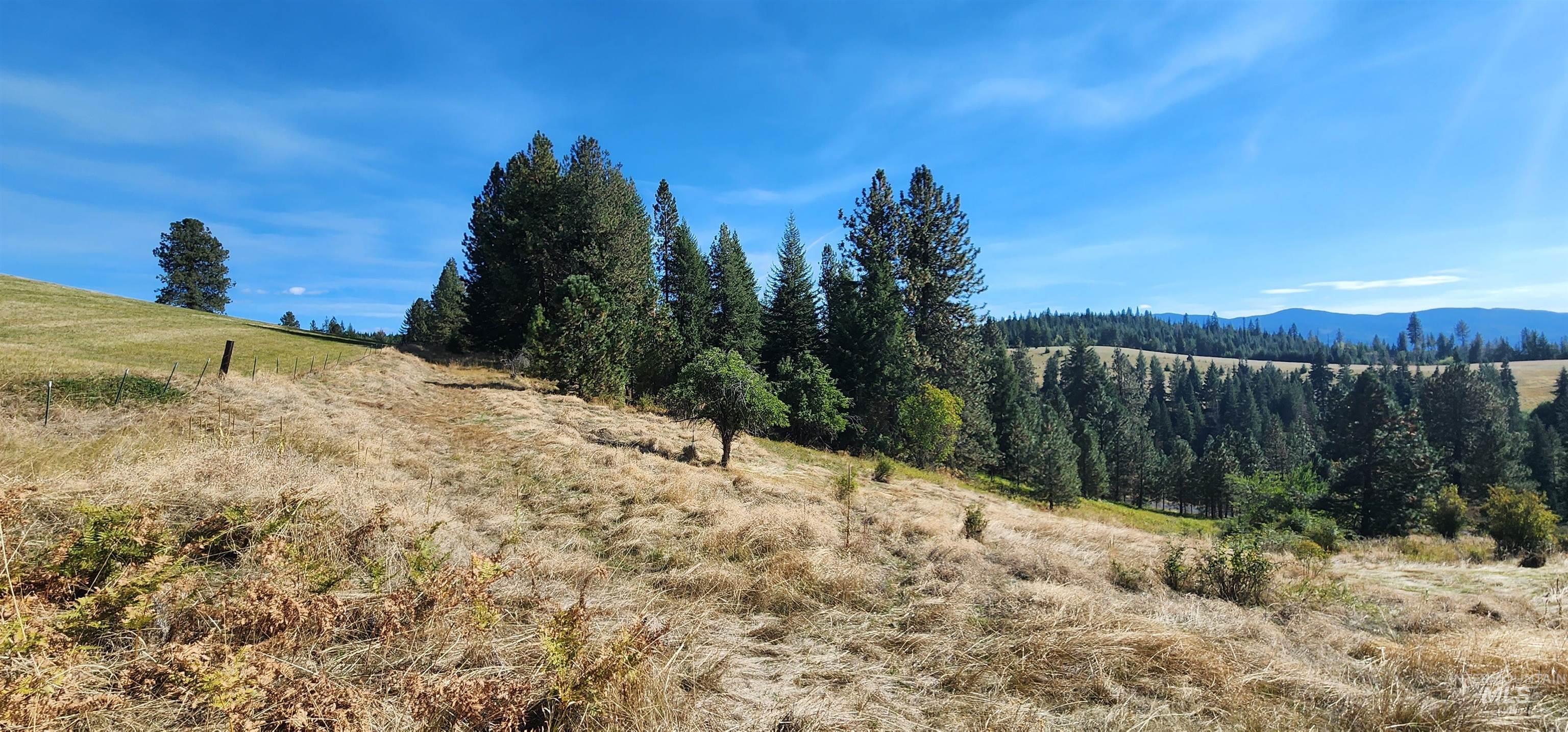 TBD Red Fir Rd, Kooskia, Idaho 83539, Land For Sale, Price $139,000, 98924747