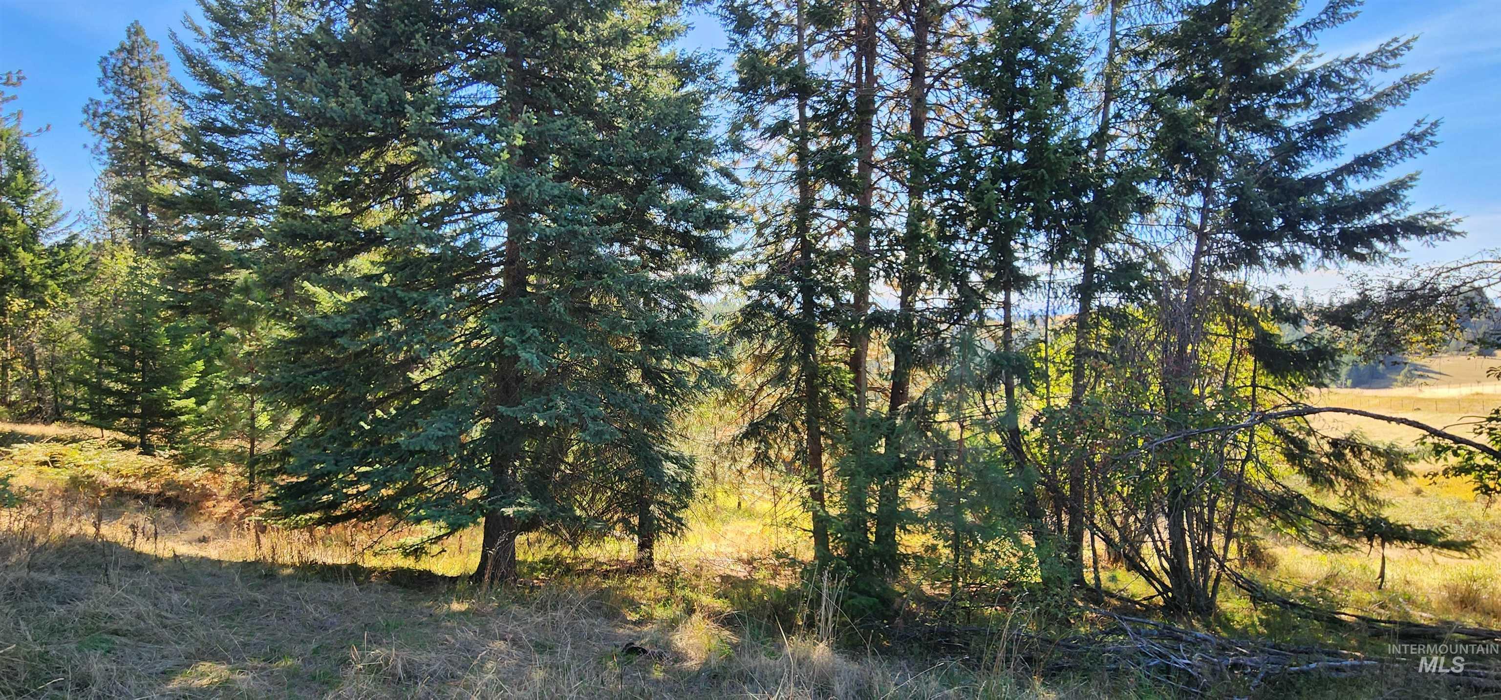 TBD Red Fir Rd, Kooskia, Idaho 83539, Land For Sale, Price $139,000, 98924747