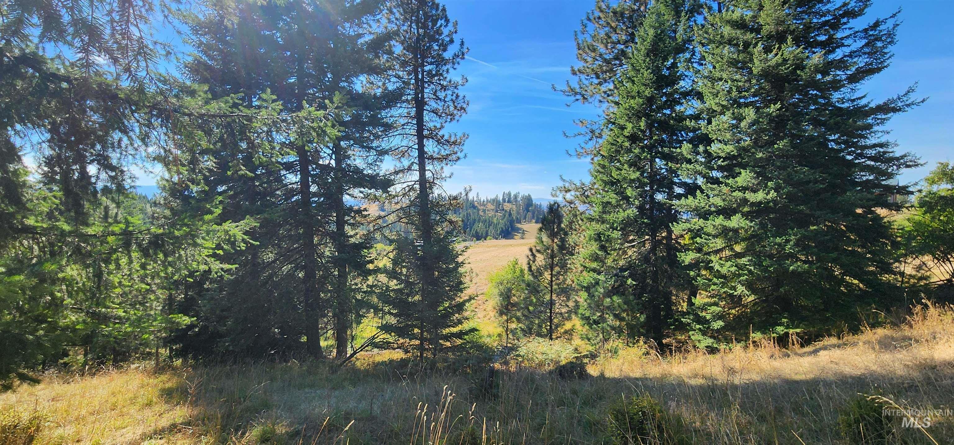 TBD Red Fir Rd, Kooskia, Idaho 83539, Land For Sale, Price $139,000, 98924747
