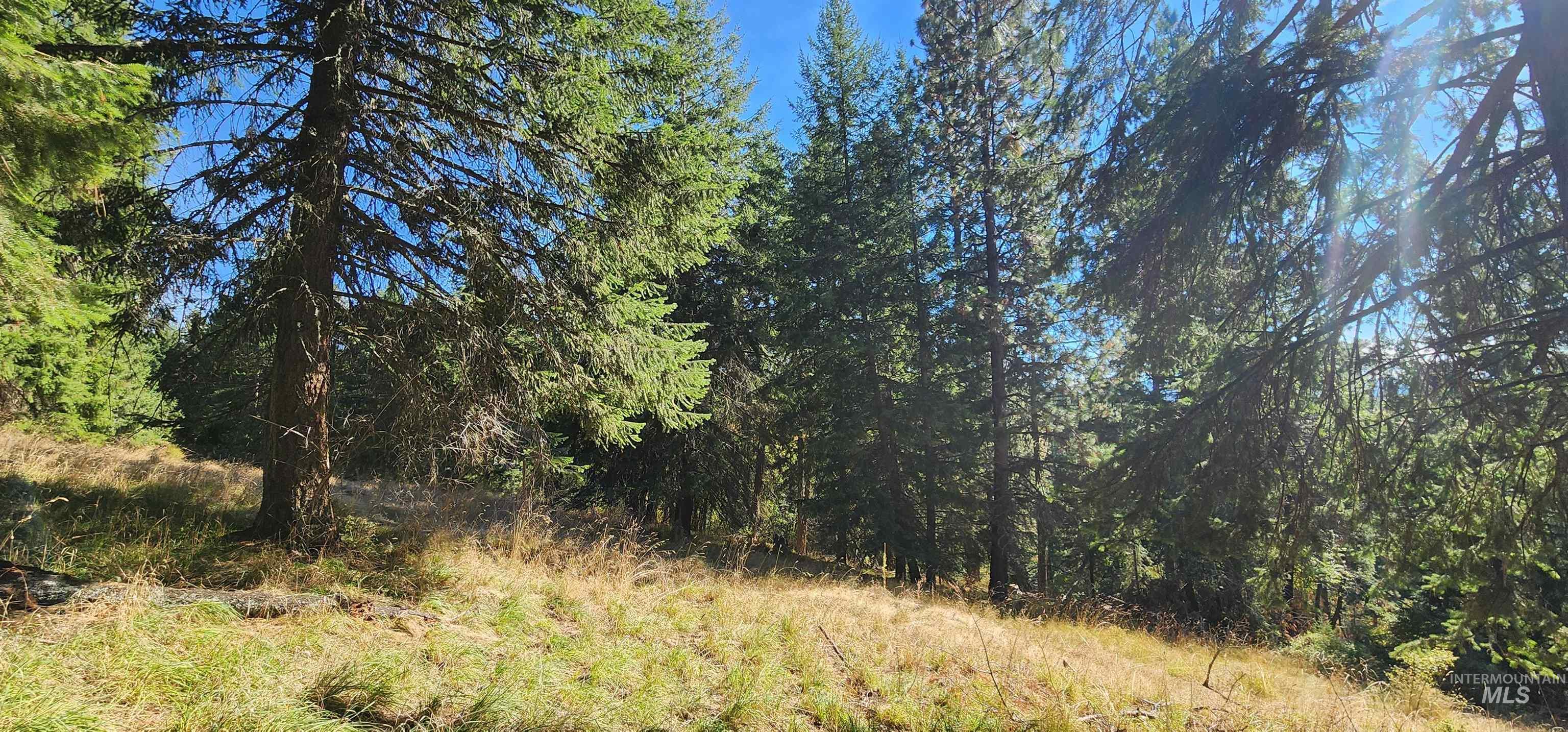 TBD Red Fir Rd, Kooskia, Idaho 83539, Land For Sale, Price $139,000, 98924747