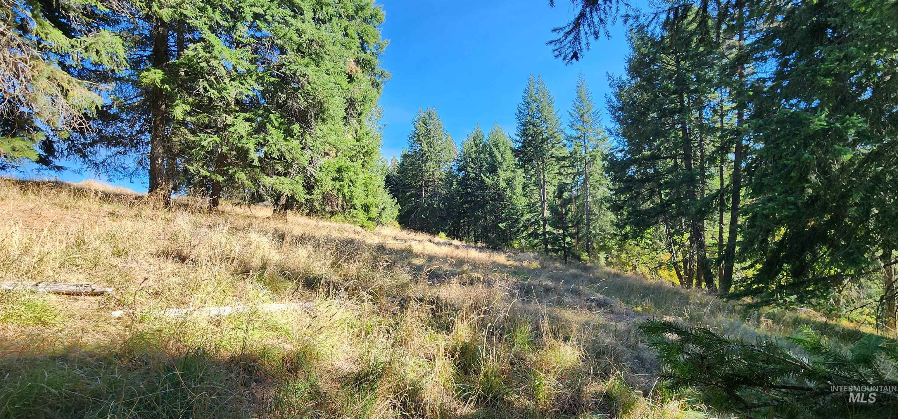 TBD Red Fir Rd, Kooskia, Idaho 83539, Land For Sale, Price $139,000, 98924747