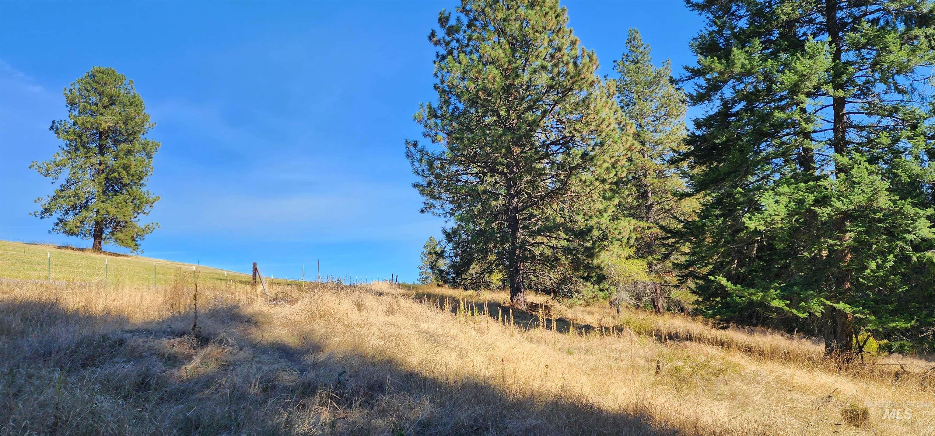 TBD Red Fir Rd, Kooskia, Idaho 83539, Land For Sale, Price $139,000, 98924747