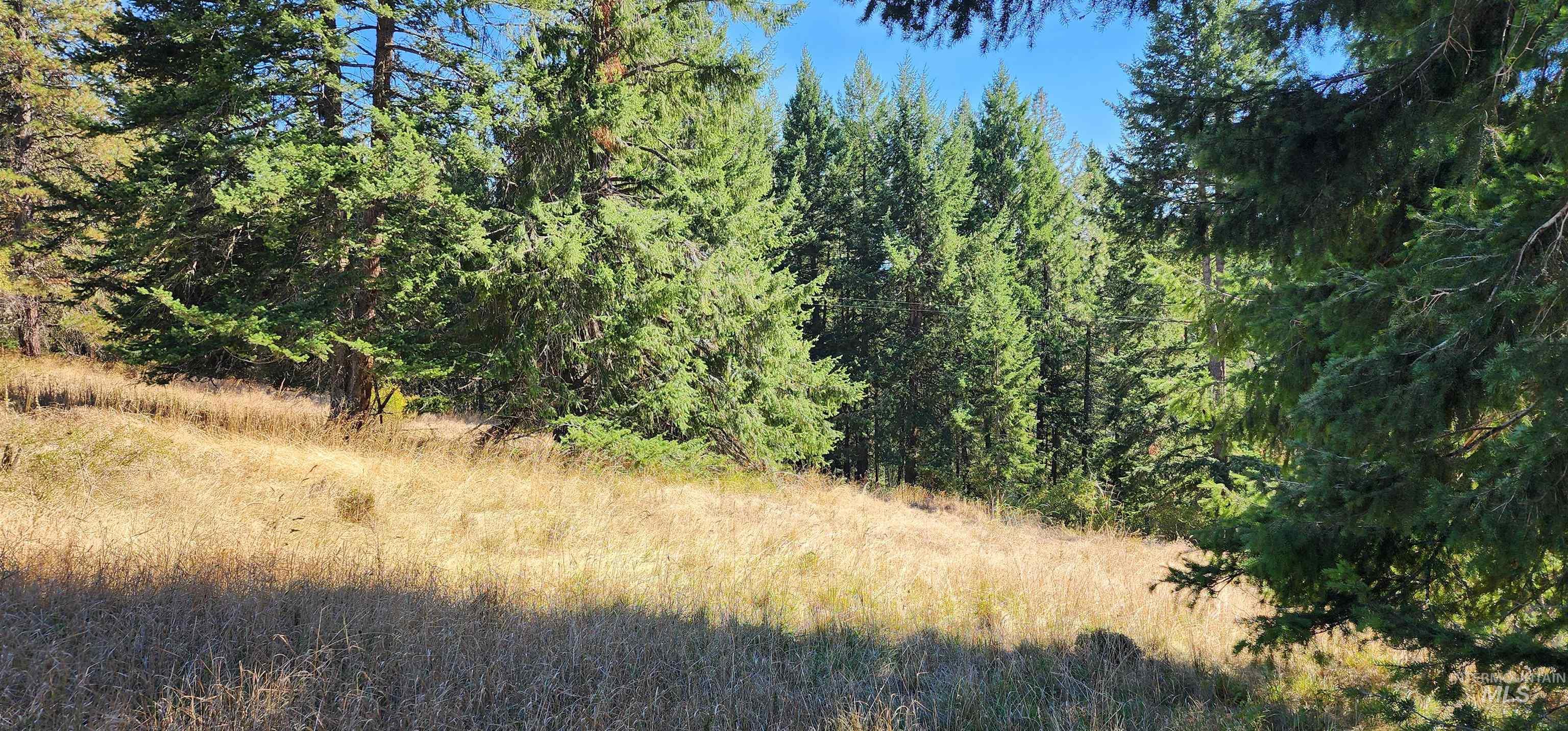 TBD Red Fir Rd, Kooskia, Idaho 83539, Land For Sale, Price $139,000, 98924747