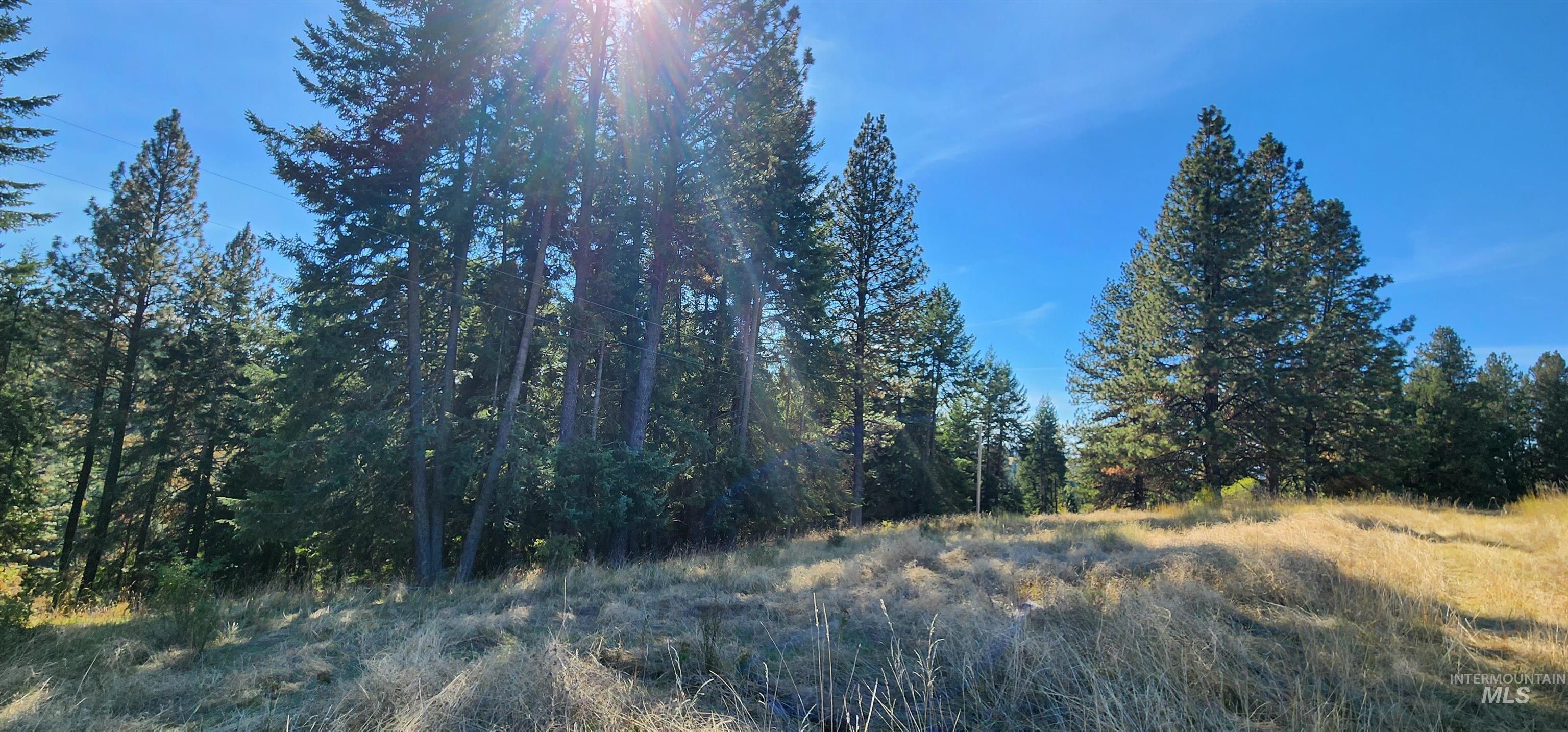 TBD Red Fir Rd, Kooskia, Idaho 83539, Land For Sale, Price $139,000, 98924747