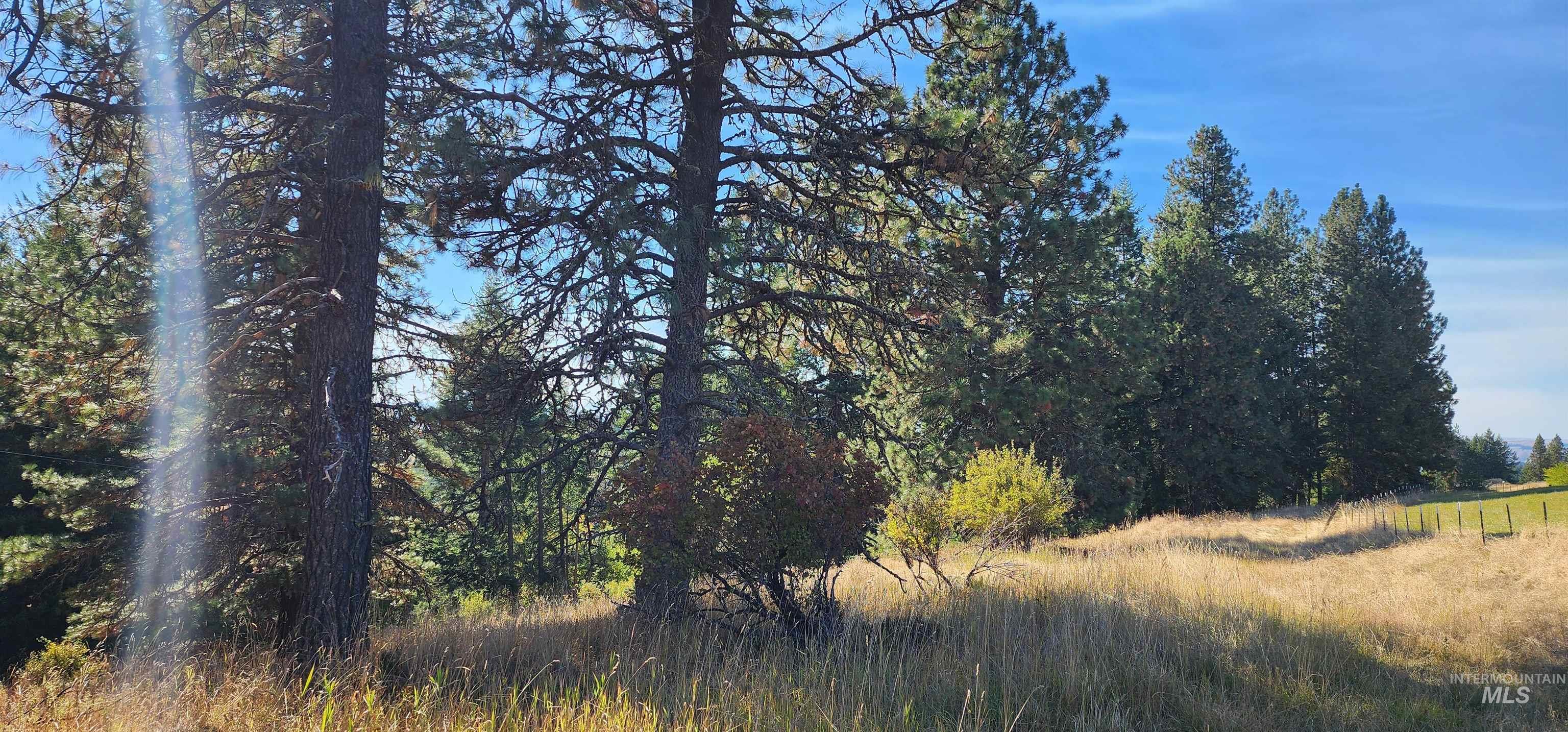 TBD Red Fir Rd, Kooskia, Idaho 83539, Land For Sale, Price $139,000, 98924747
