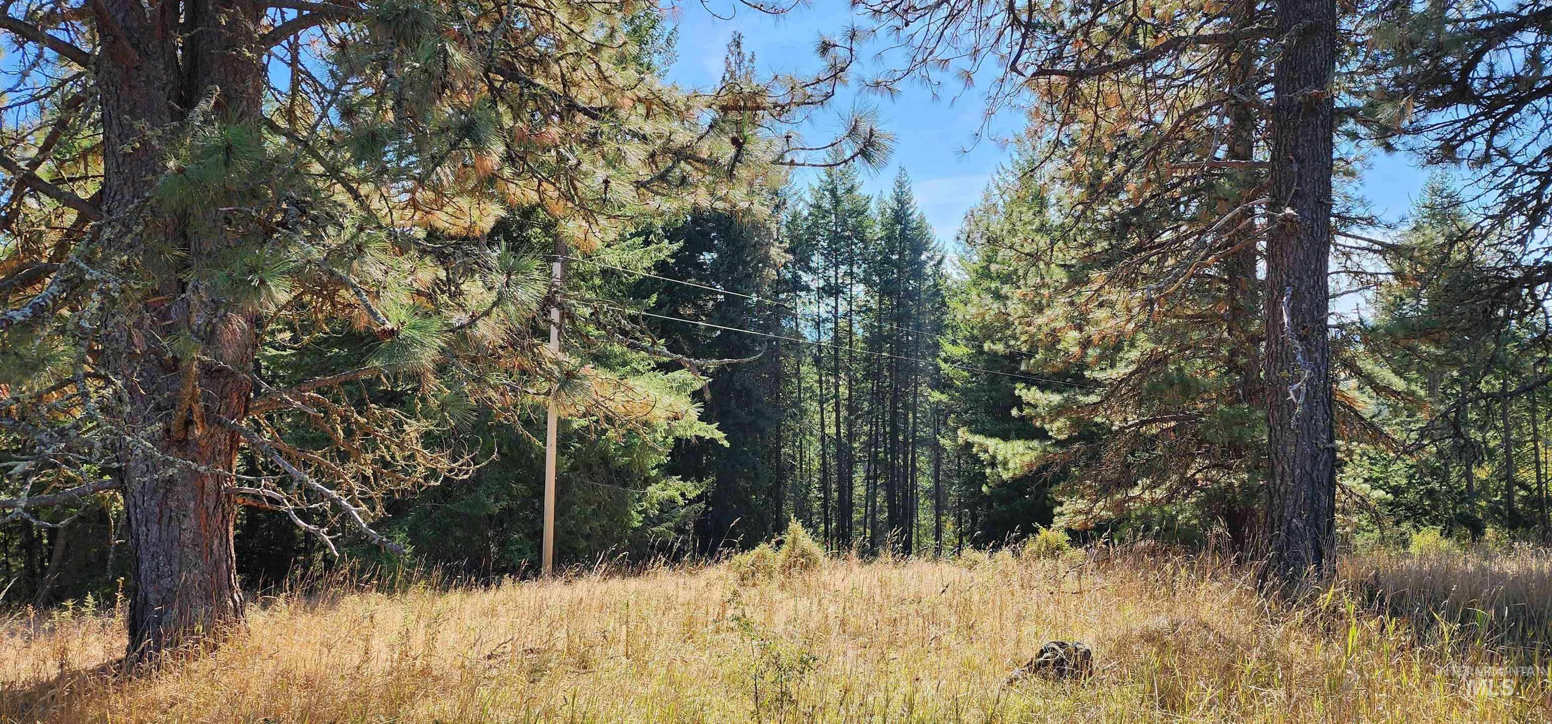 TBD Red Fir Rd, Kooskia, Idaho 83539, Land For Sale, Price $139,000, 98924747