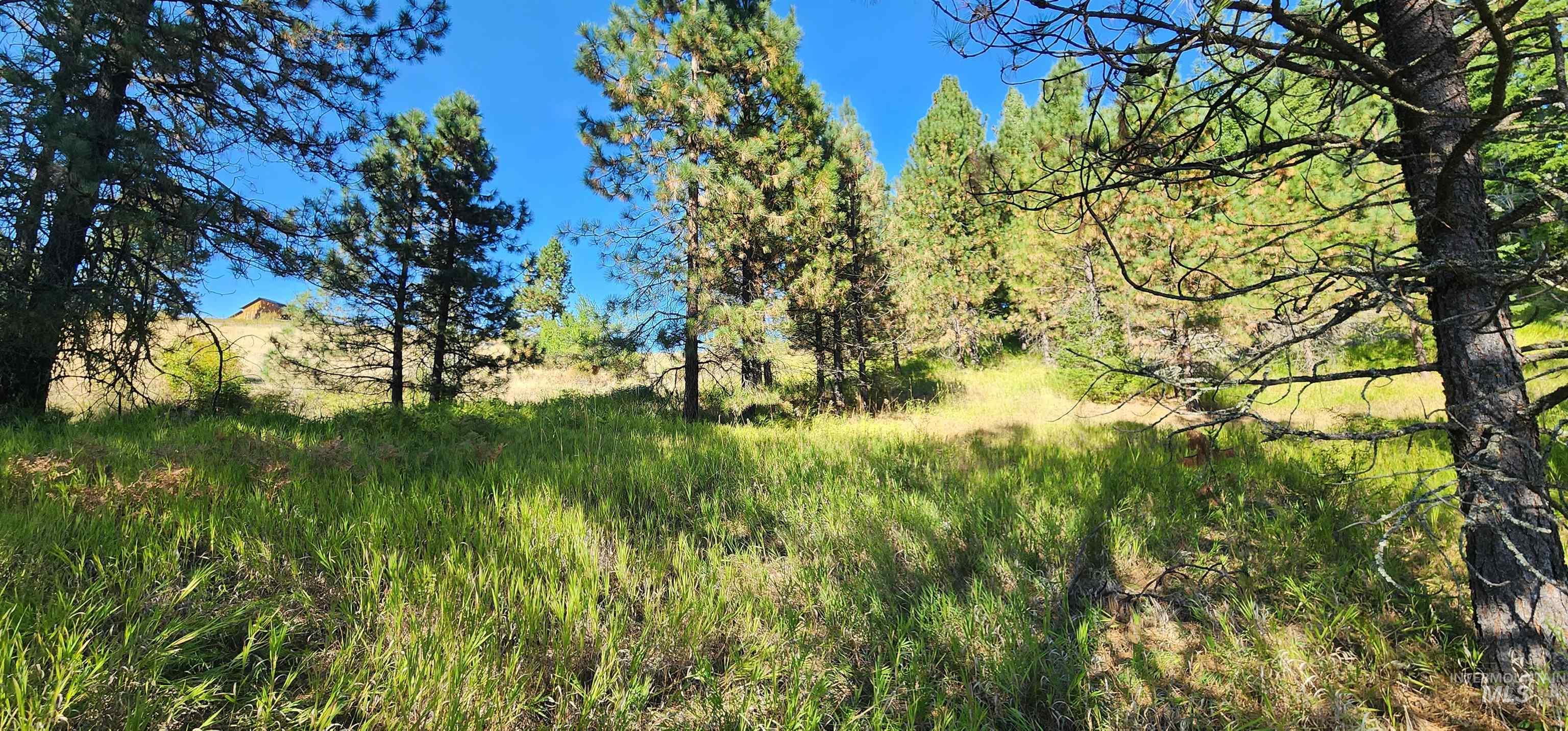 TBD Red Fir Rd, Kooskia, Idaho 83539, Land For Sale, Price $139,000, 98924747