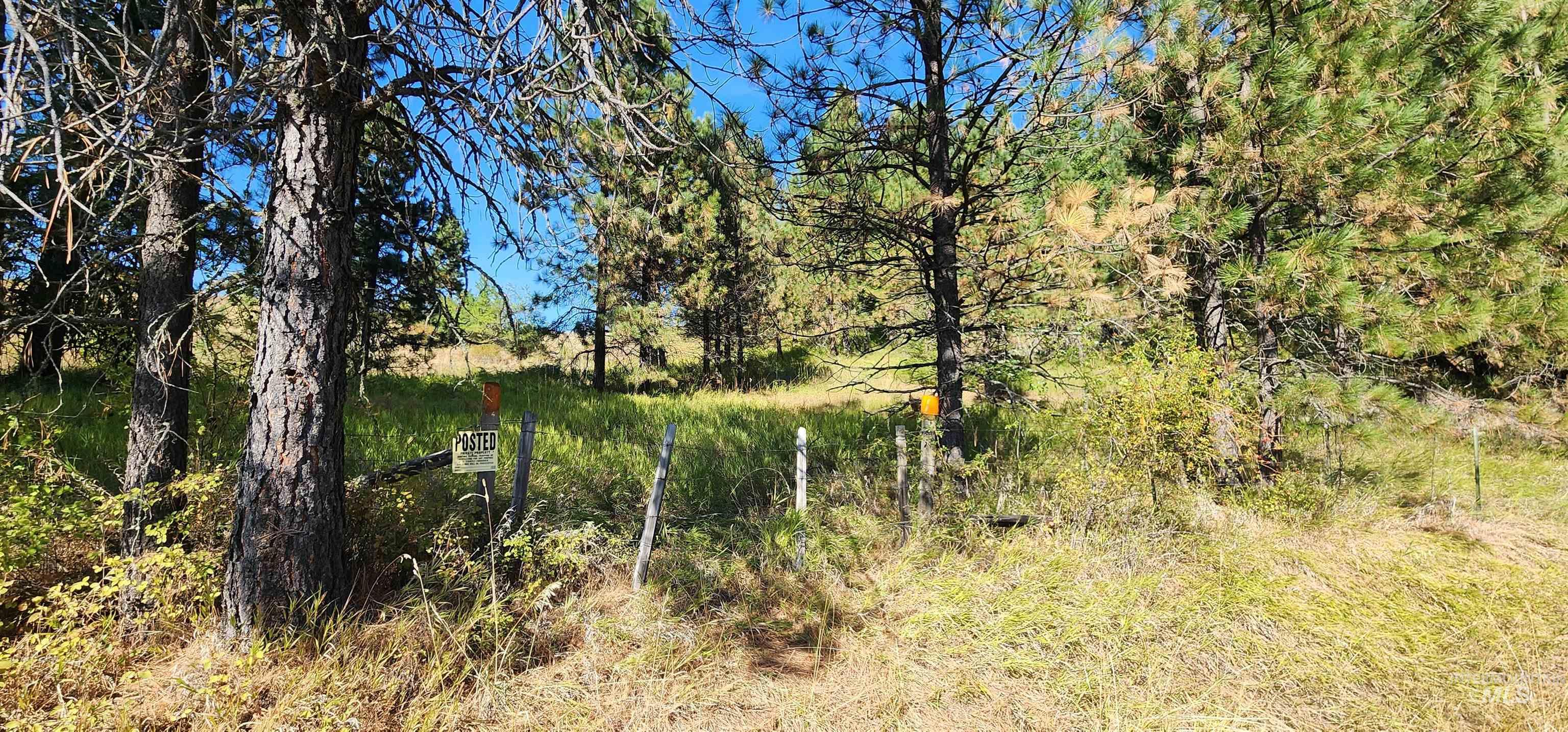 TBD Red Fir Rd, Kooskia, Idaho 83539, Land For Sale, Price $139,000, 98924747