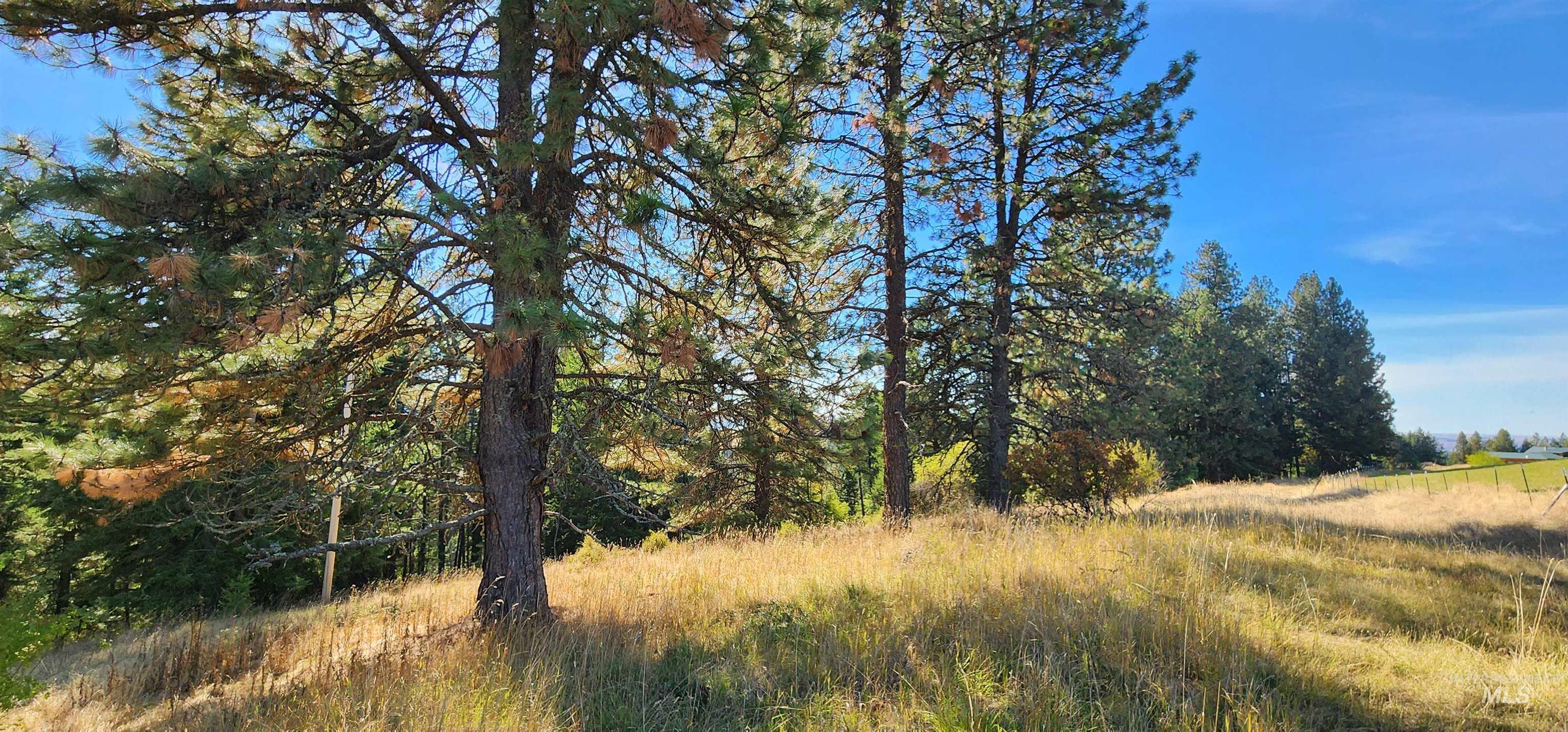 TBD Red Fir Rd, Kooskia, Idaho 83539, Land For Sale, Price $139,000,MLS 98924747