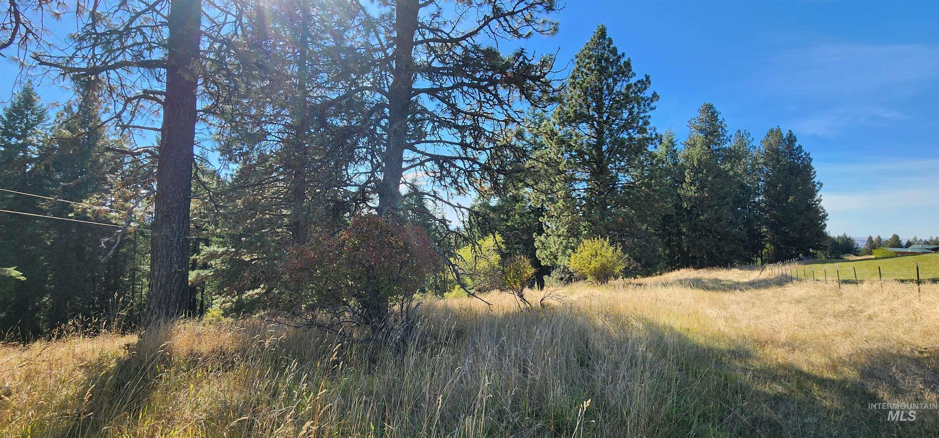 TBD Red Fir Rd, Kooskia, Idaho 83539, Land For Sale, Price $139,000, 98924747