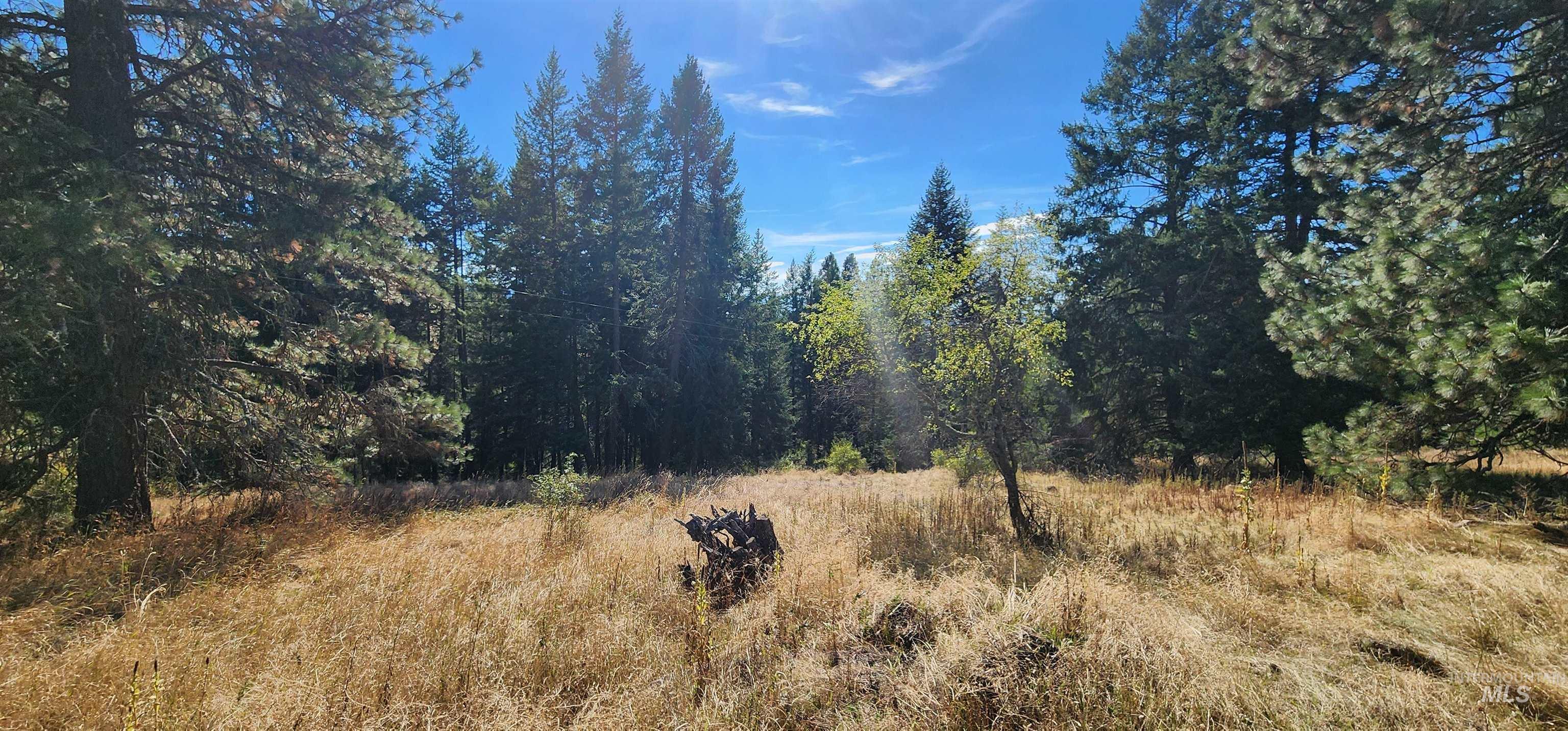 TBD Red Fir Rd, Kooskia, Idaho 83539, Land For Sale, Price $139,000, 98924747