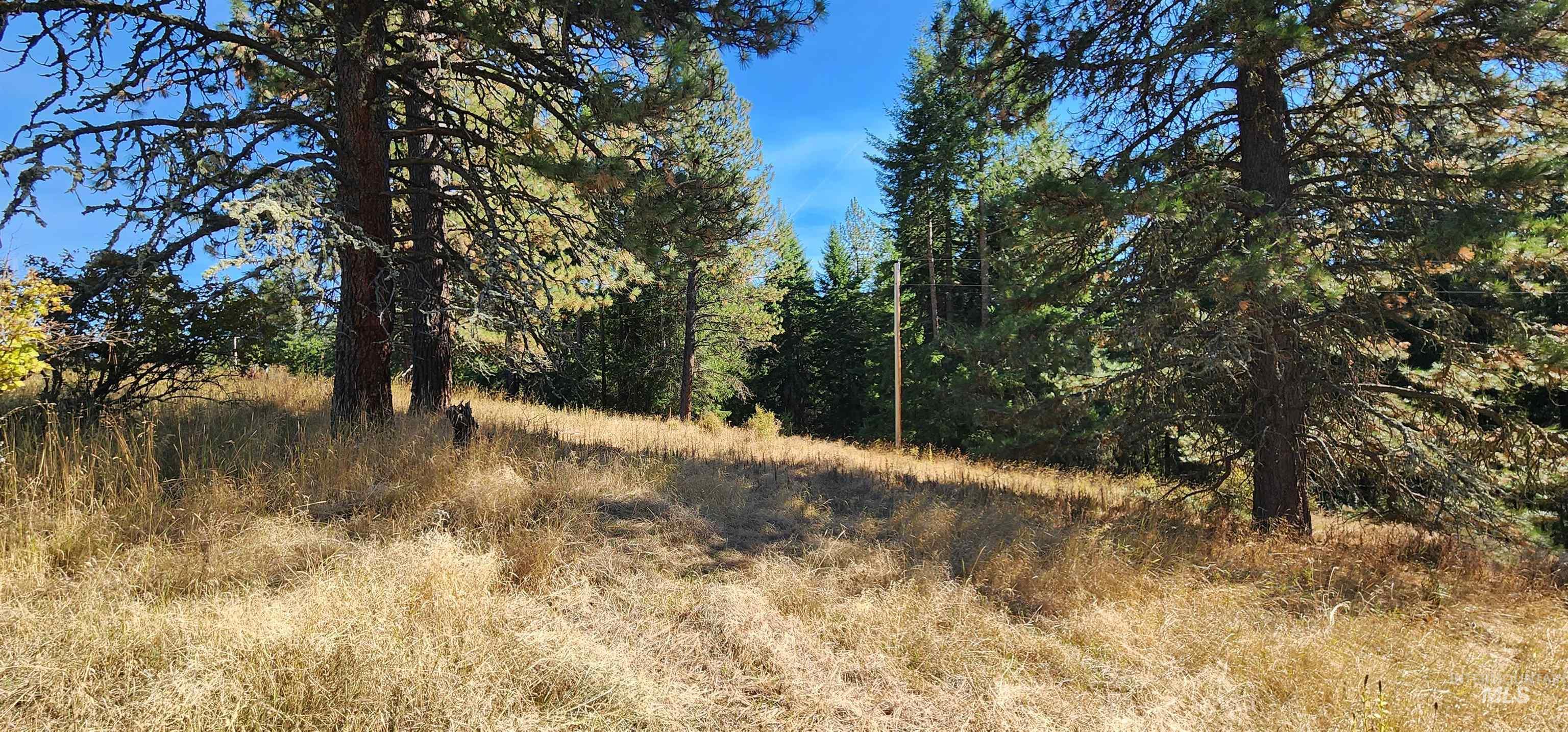 TBD Red Fir Rd, Kooskia, Idaho 83539, Land For Sale, Price $139,000, 98924747