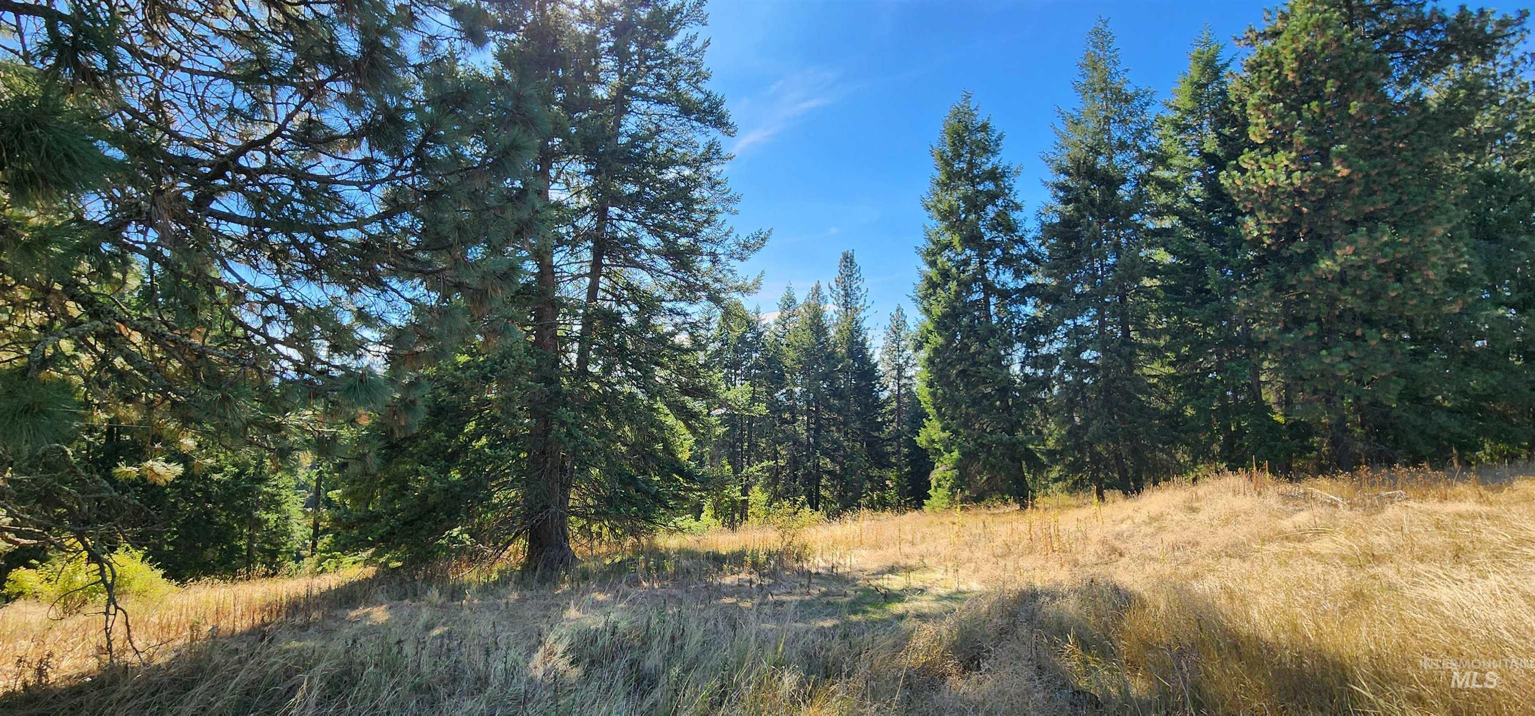 TBD Red Fir Rd, Kooskia, Idaho 83539, Land For Sale, Price $139,000, 98924747