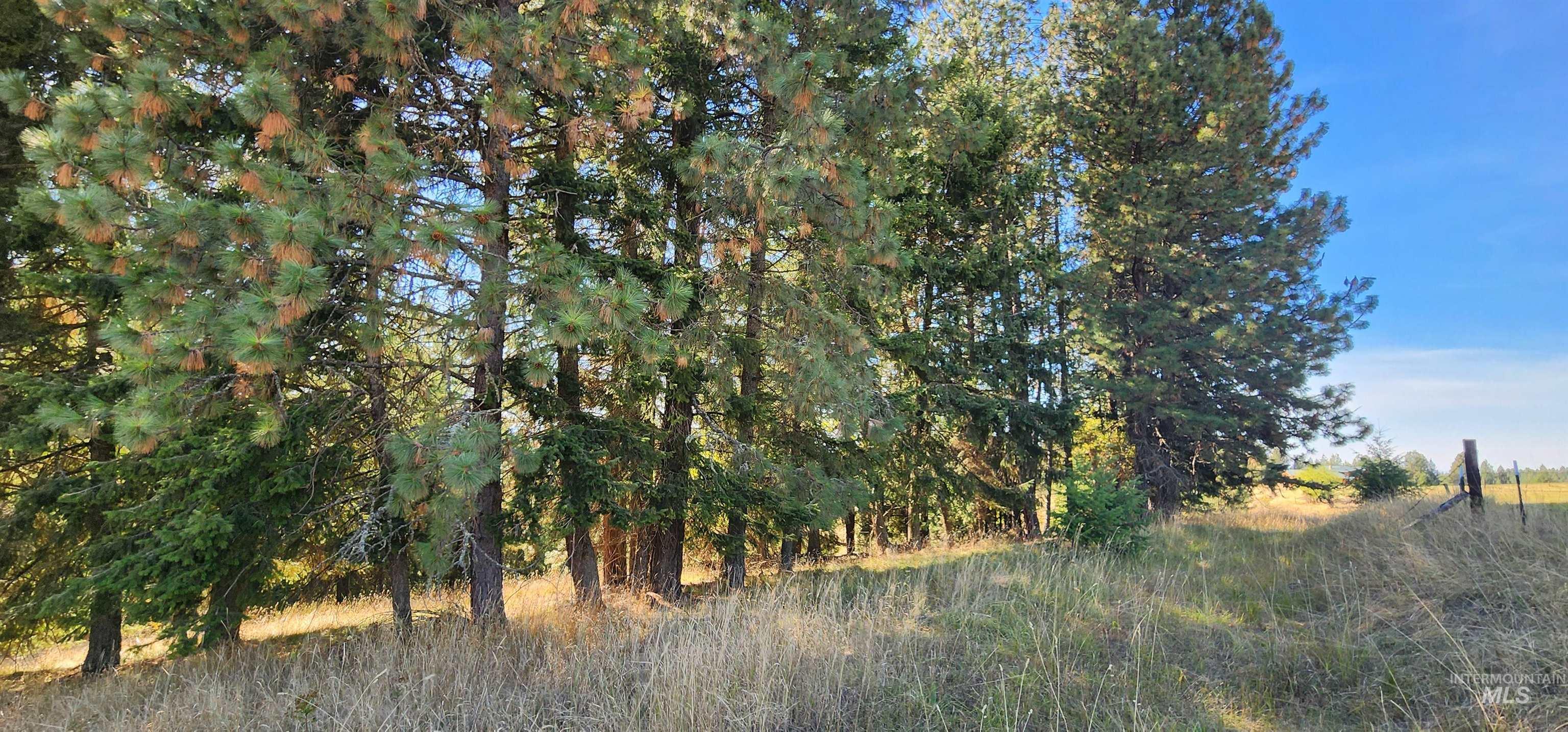 TBD Red Fir Rd, Kooskia, Idaho 83539, Land For Sale, Price $139,000, 98924747