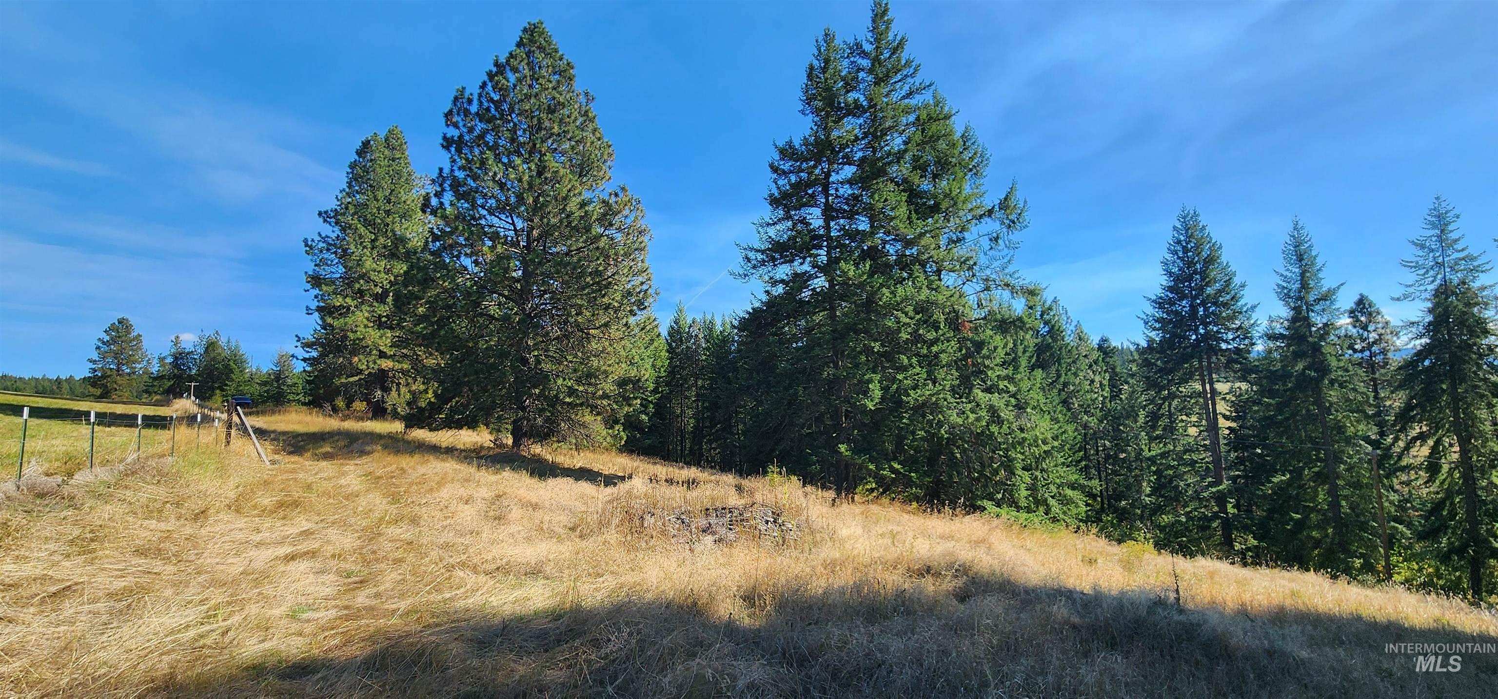 TBD Red Fir Rd, Kooskia, Idaho 83539, Land For Sale, Price $139,000, 98924747