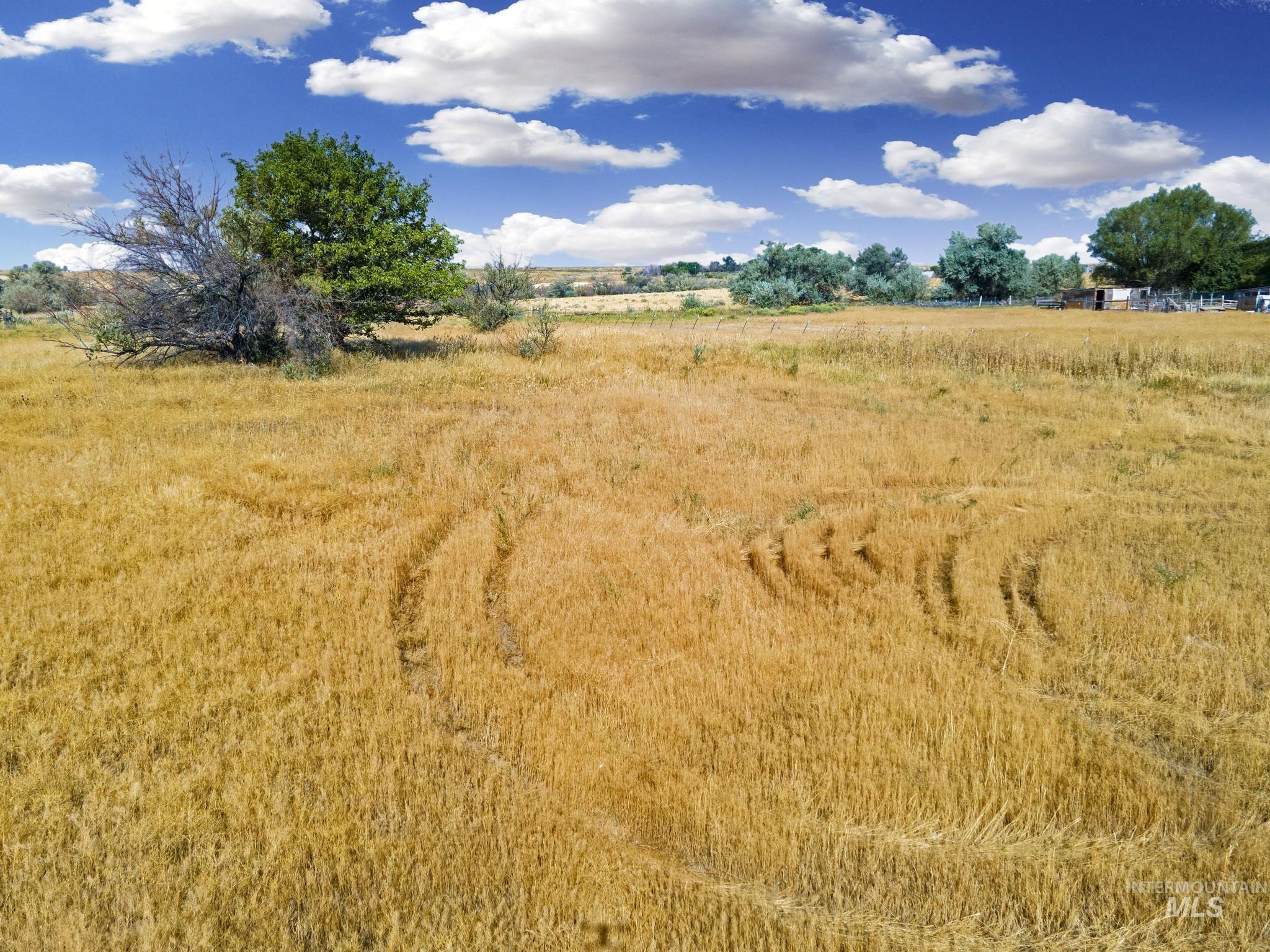 TBD Lot 8 Block 4 Dietrich West Subdivision, Dietrich, Idaho 83324, Land For Sale, Price $47,500, 98924830