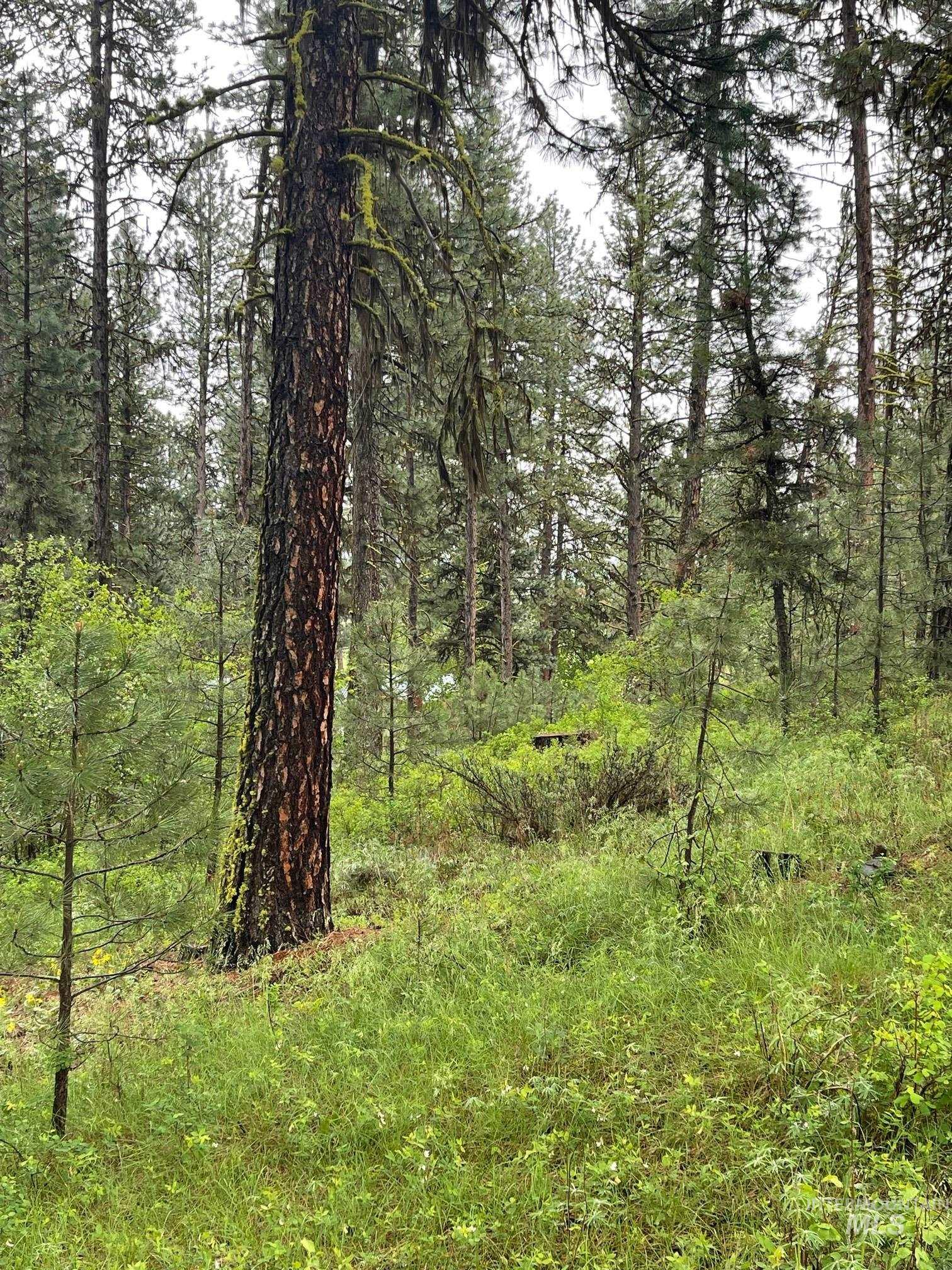 TBD Hot Springs Rd, New Meadows, Idaho 83654, Land For Sale, Price $77,000, 98924867