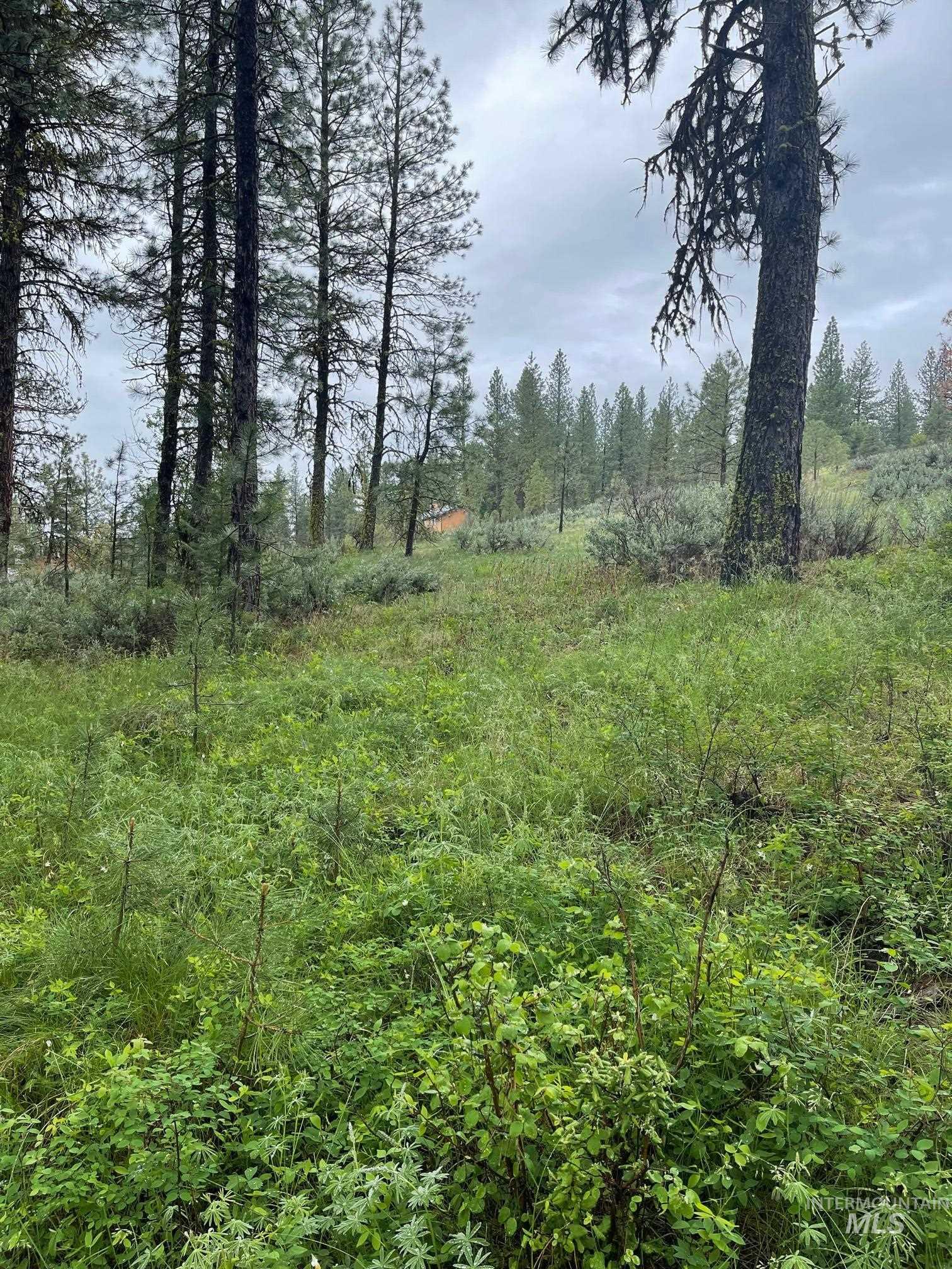 TBD Hot Springs Rd, New Meadows, Idaho 83654, Land For Sale, Price $77,000, 98924867