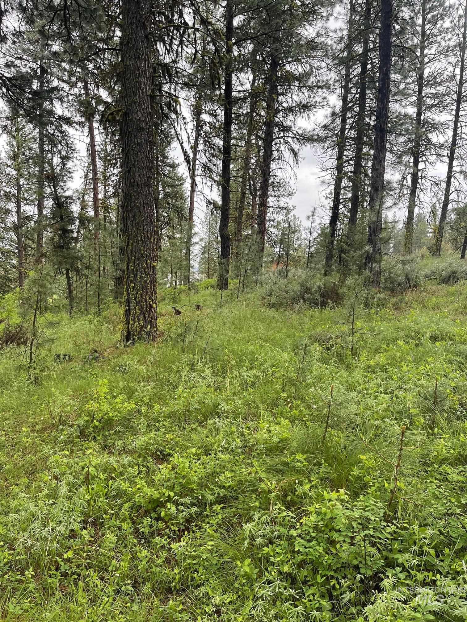 TBD Hot Springs Rd, New Meadows, Idaho 83654, Land For Sale, Price $77,000, 98924867