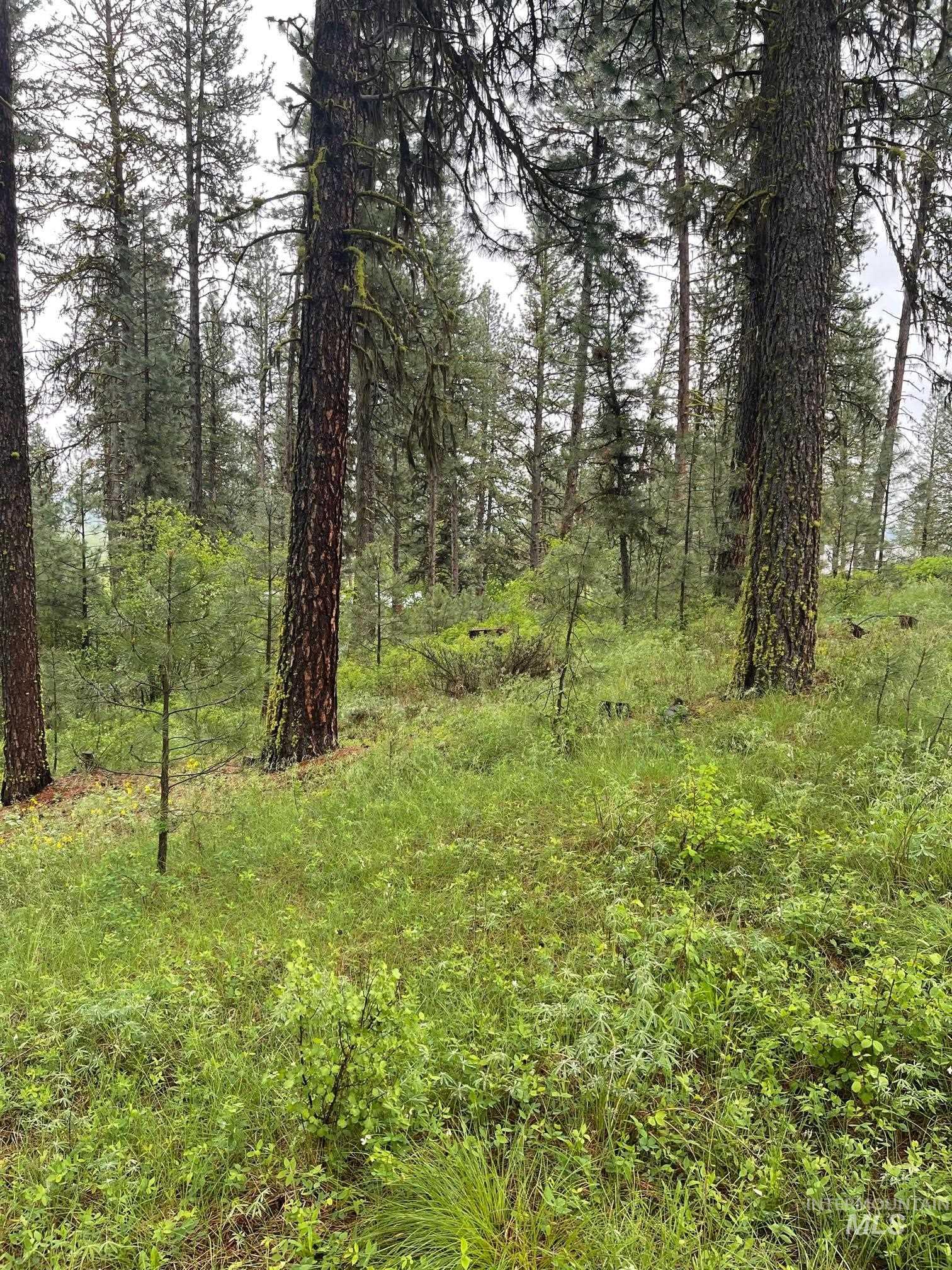 TBD Hot Springs Rd, New Meadows, Idaho 83654, Land For Sale, Price $77,000, 98924867