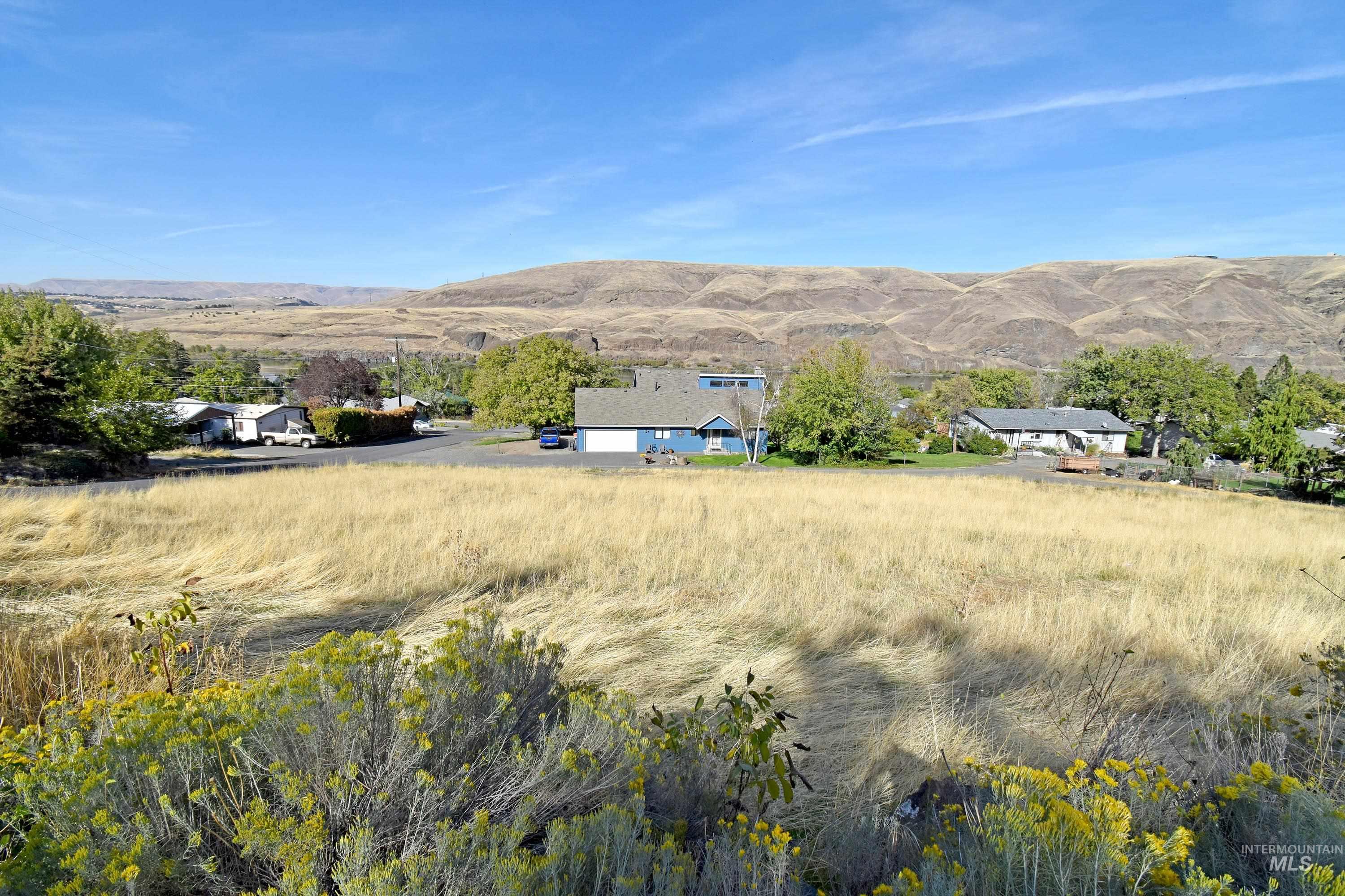 321 Pierce Street, Asotin, Washington 99402, Land For Sale, Price $89,700, 98924898