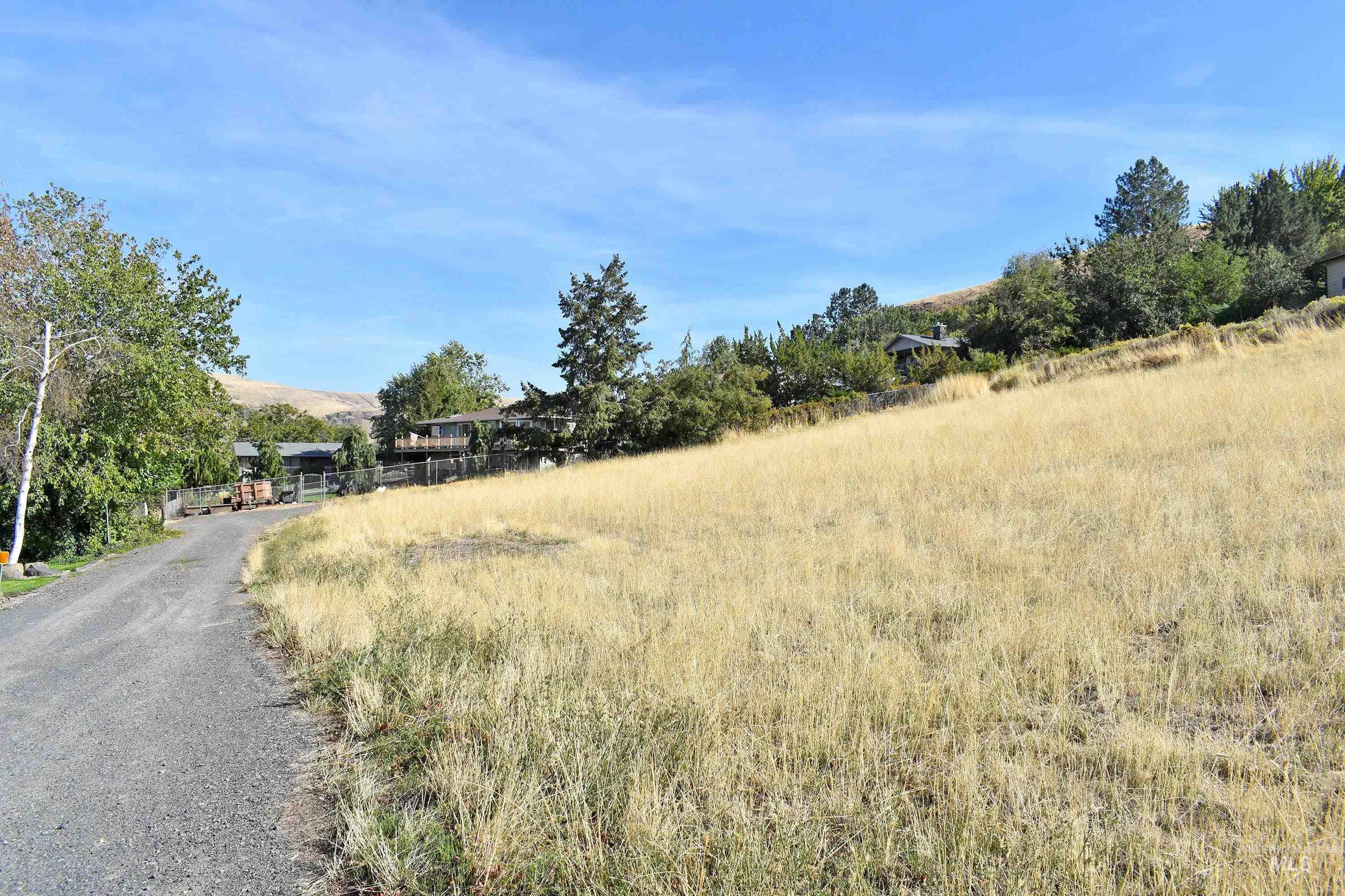 321 Pierce Street, Asotin, Washington 99402, Land For Sale, Price $89,700, 98924898