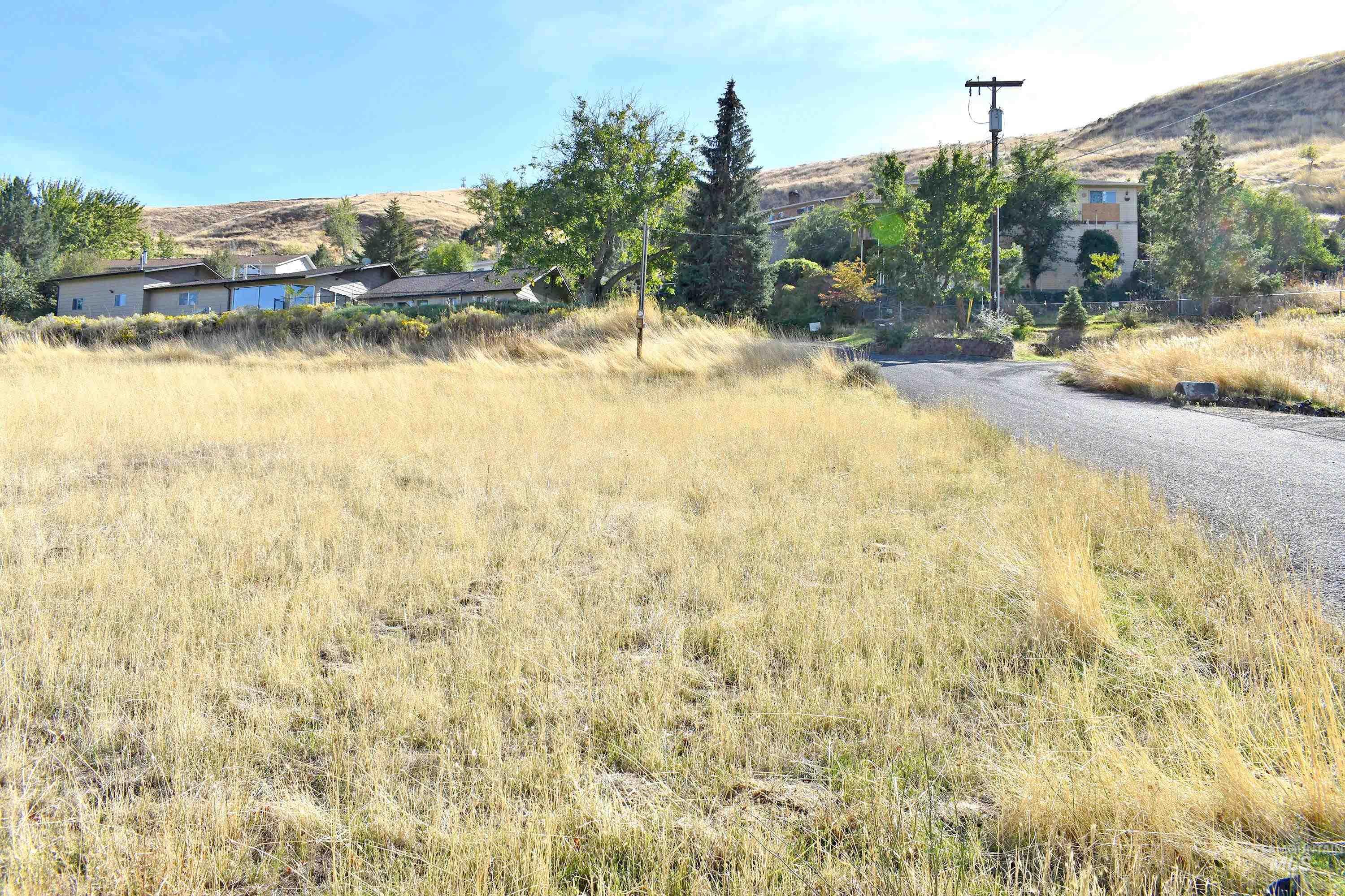 321 Pierce Street, Asotin, Washington 99402, Land For Sale, Price $89,700, 98924898