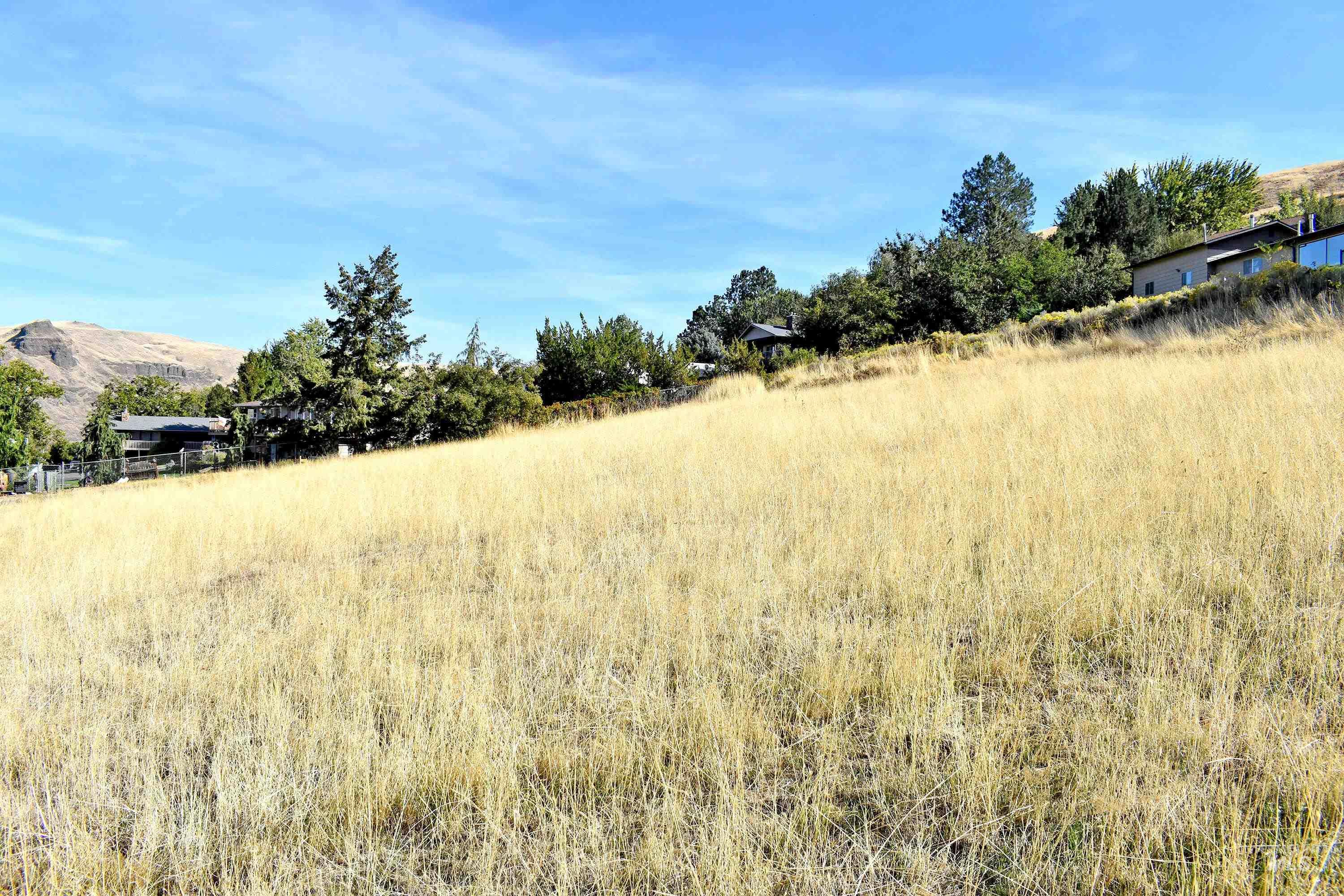 321 Pierce Street, Asotin, Washington 99402, Land For Sale, Price $89,700, 98924898