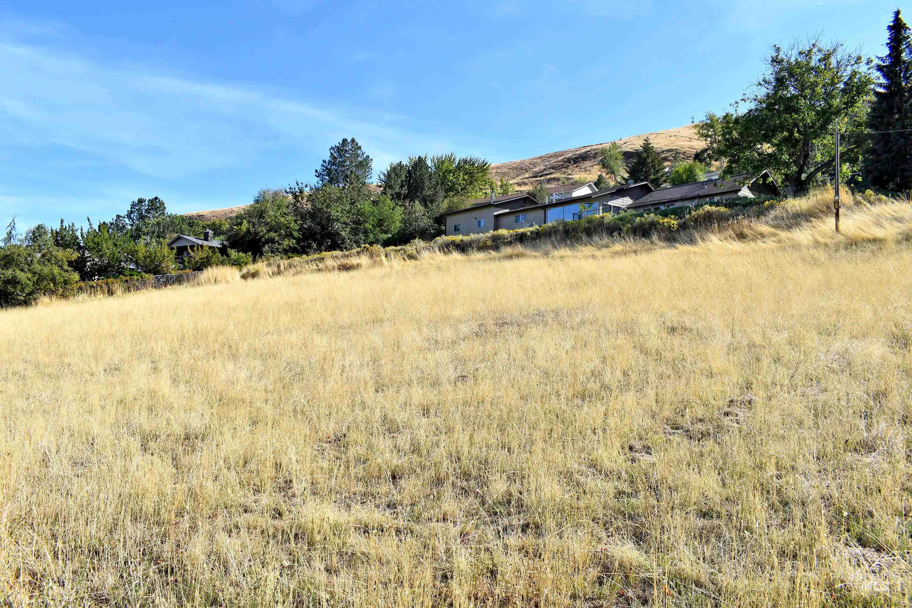 321 Pierce Street, Asotin, Washington 99402, Land For Sale, Price $89,700, 98924898