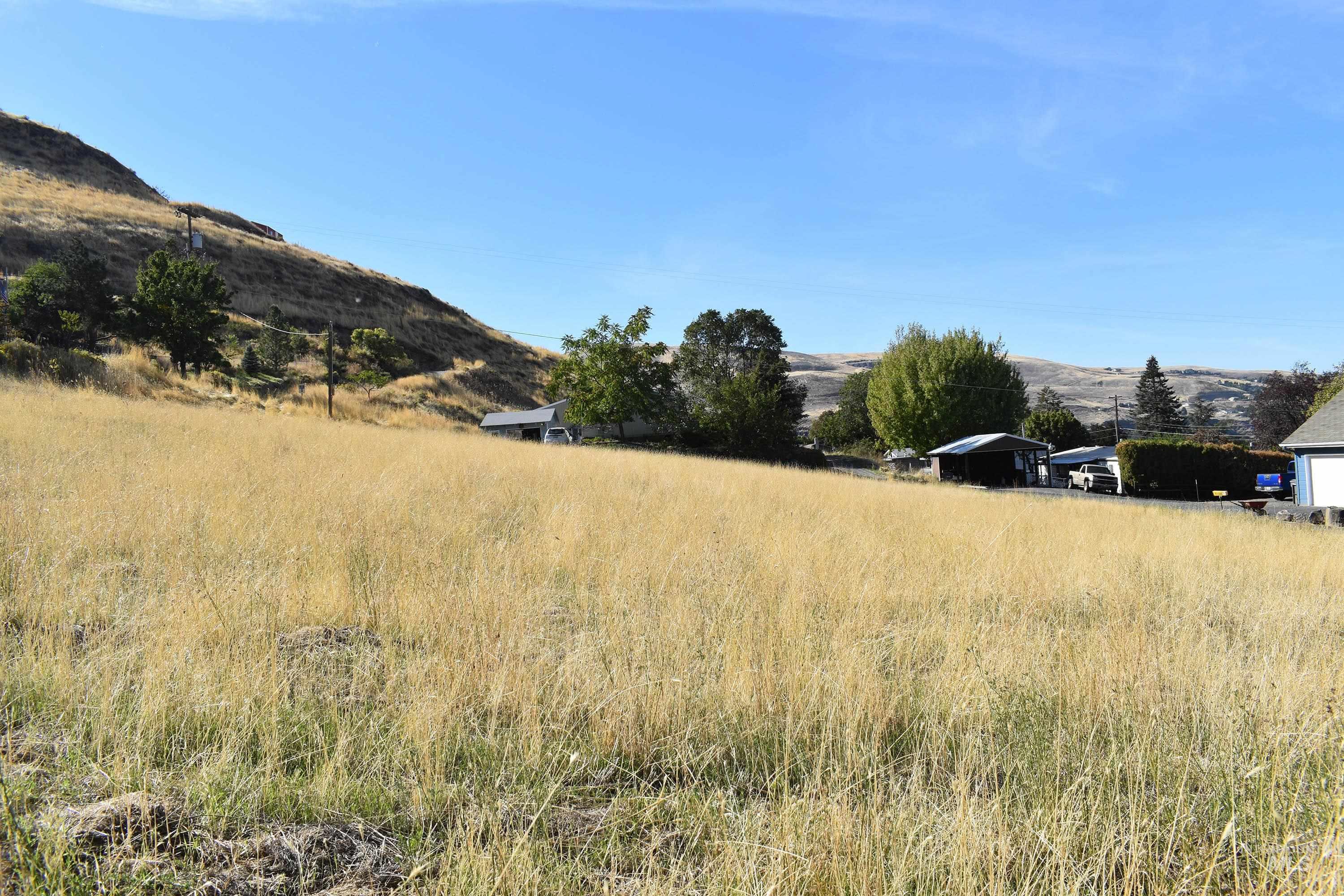 321 Pierce Street, Asotin, Washington 99402, Land For Sale, Price $89,700, 98924898