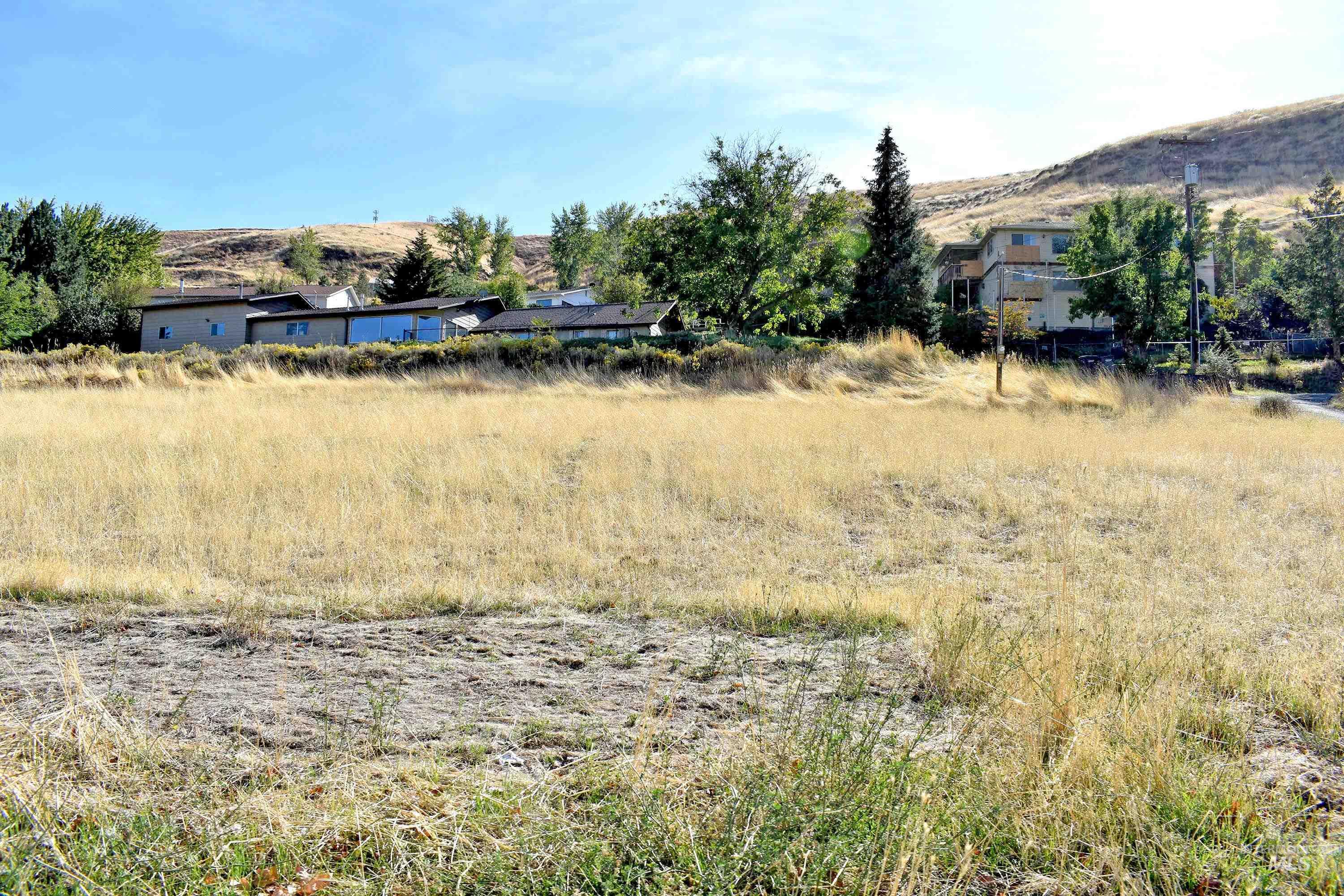 321 Pierce Street, Asotin, Washington 99402, Land For Sale, Price $89,700, 98924898