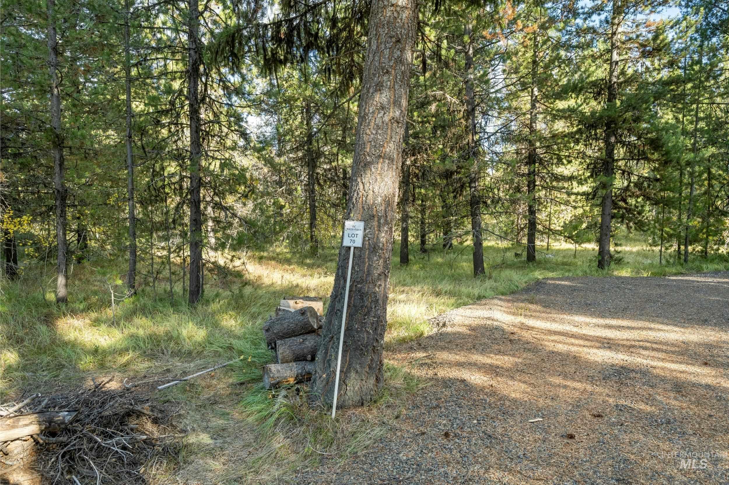 23 Thunderbolt Place, McCall, Idaho 83638, Land For Sale, Price $300,000,MLS 98924921