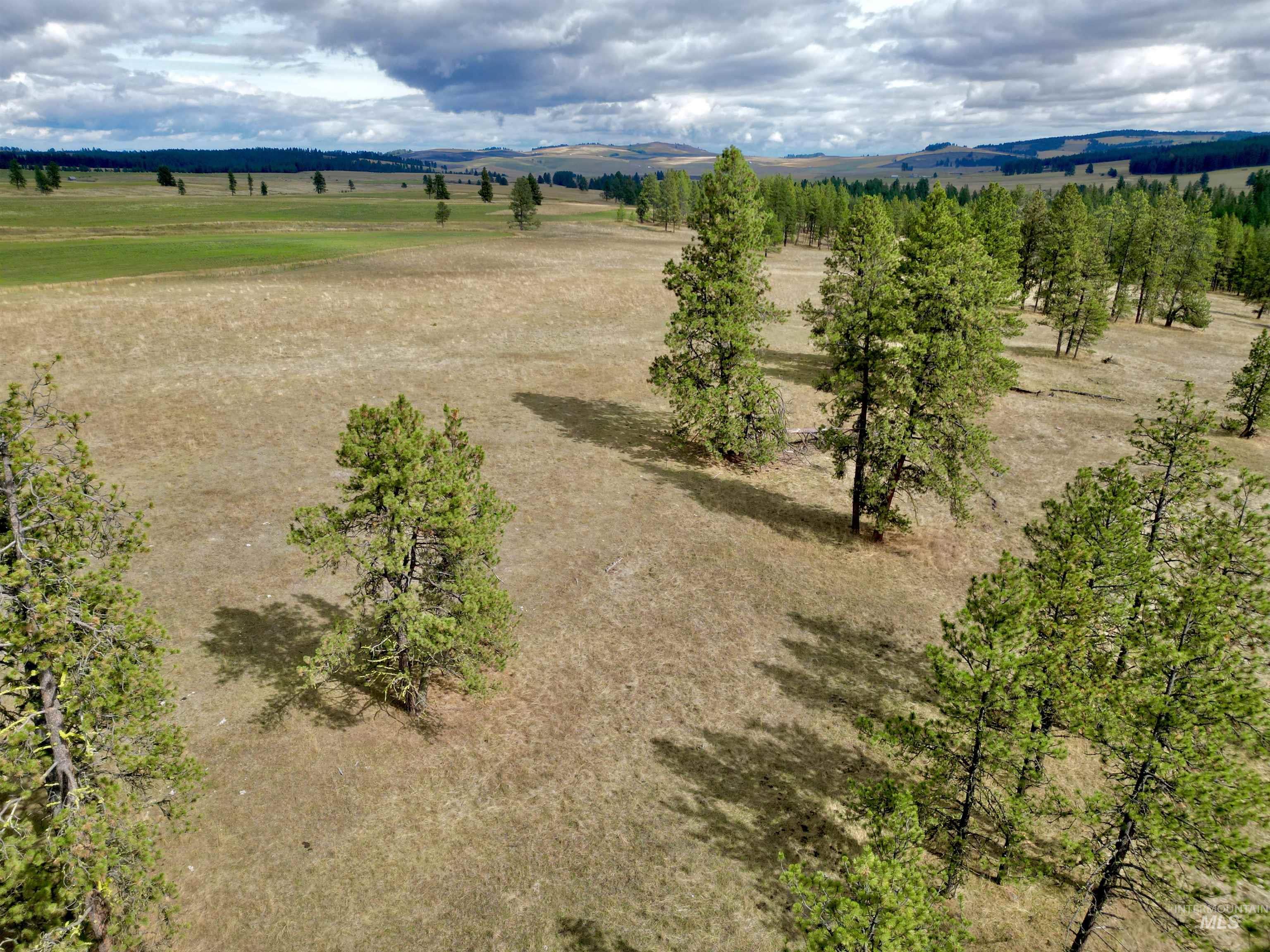 TBD Keuterville Road, CottonWood, Idaho 83526, Land For Sale, Price $149,000, 98924933
