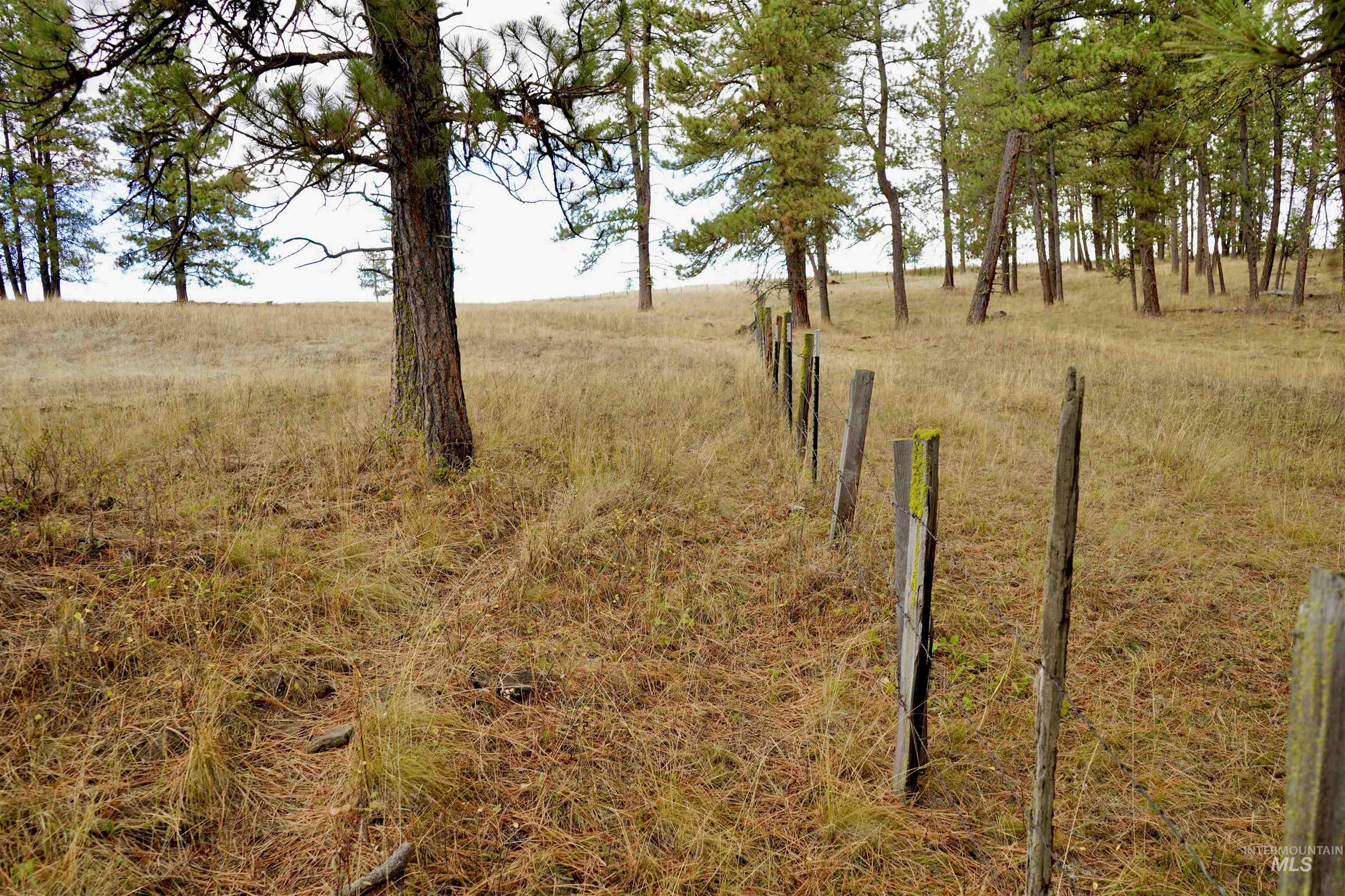TBD Keuterville Road, CottonWood, Idaho 83526, Land For Sale, Price $149,000, 98924933